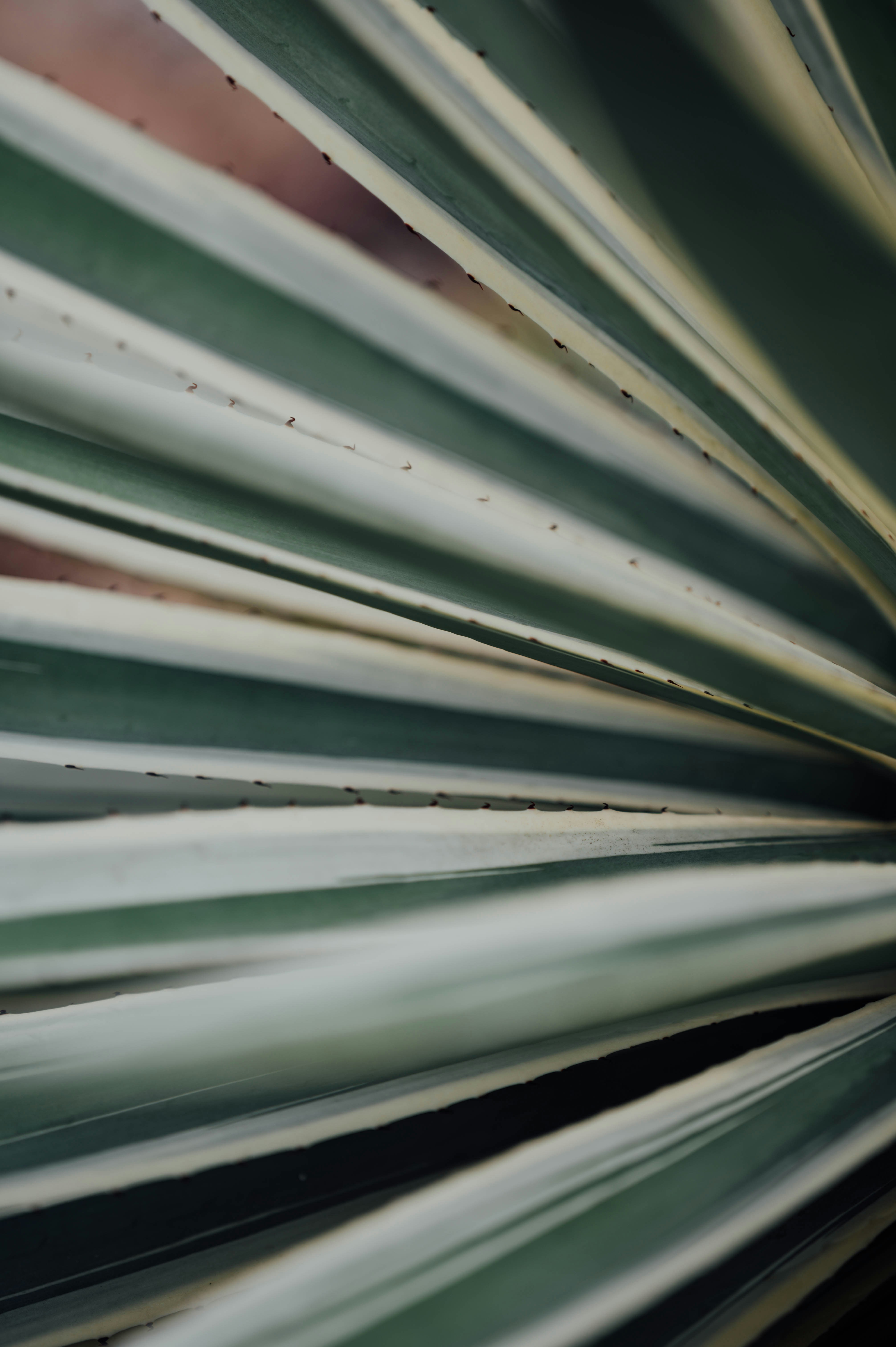 Photo by chuttersnap