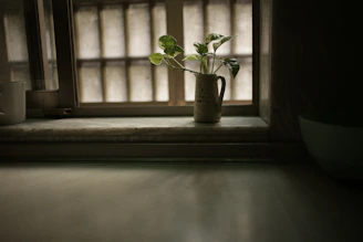 A cozy apartment with a small plant by the window, symbolizing a fresh start.