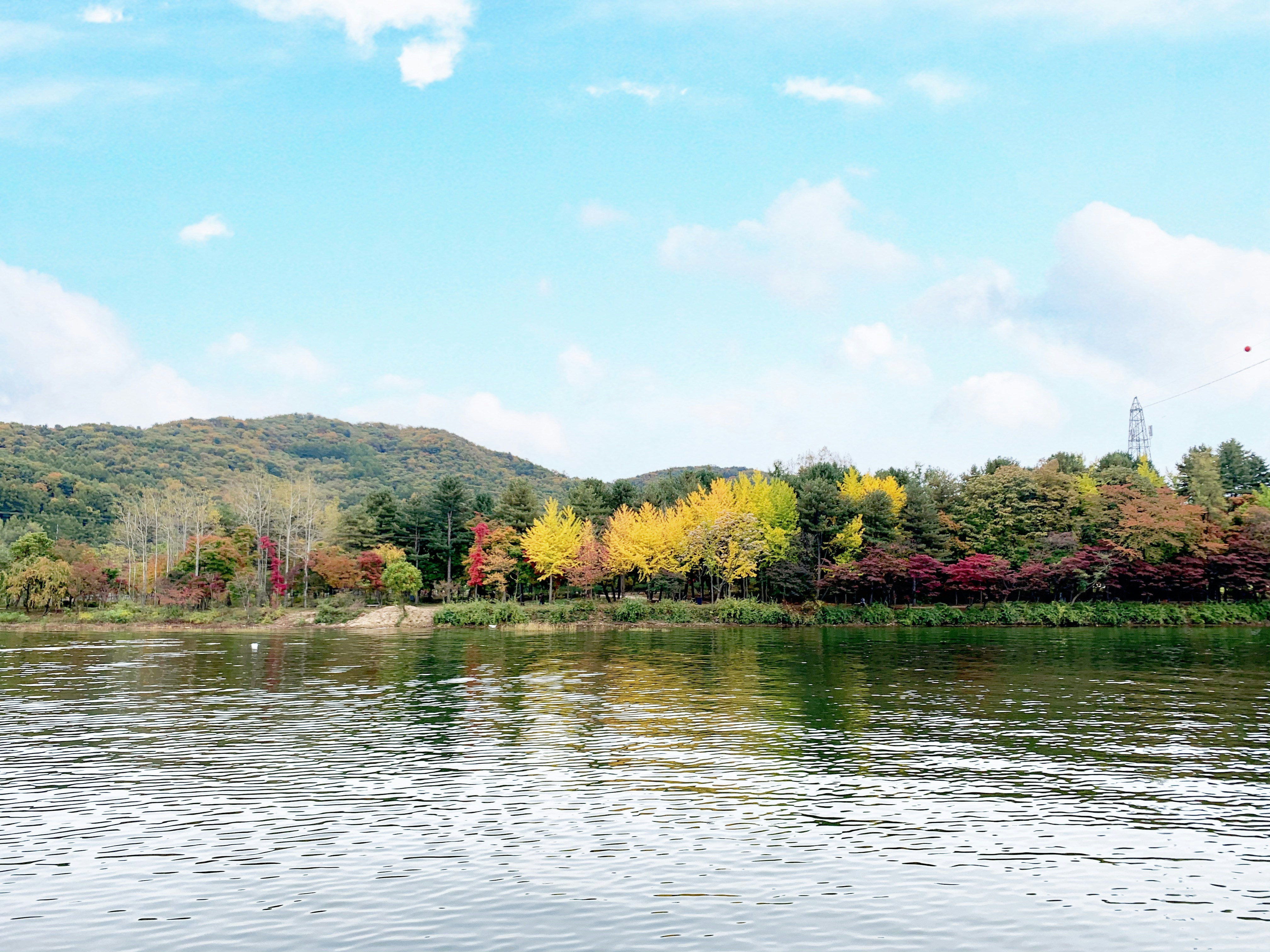 Photo by phamlong0909