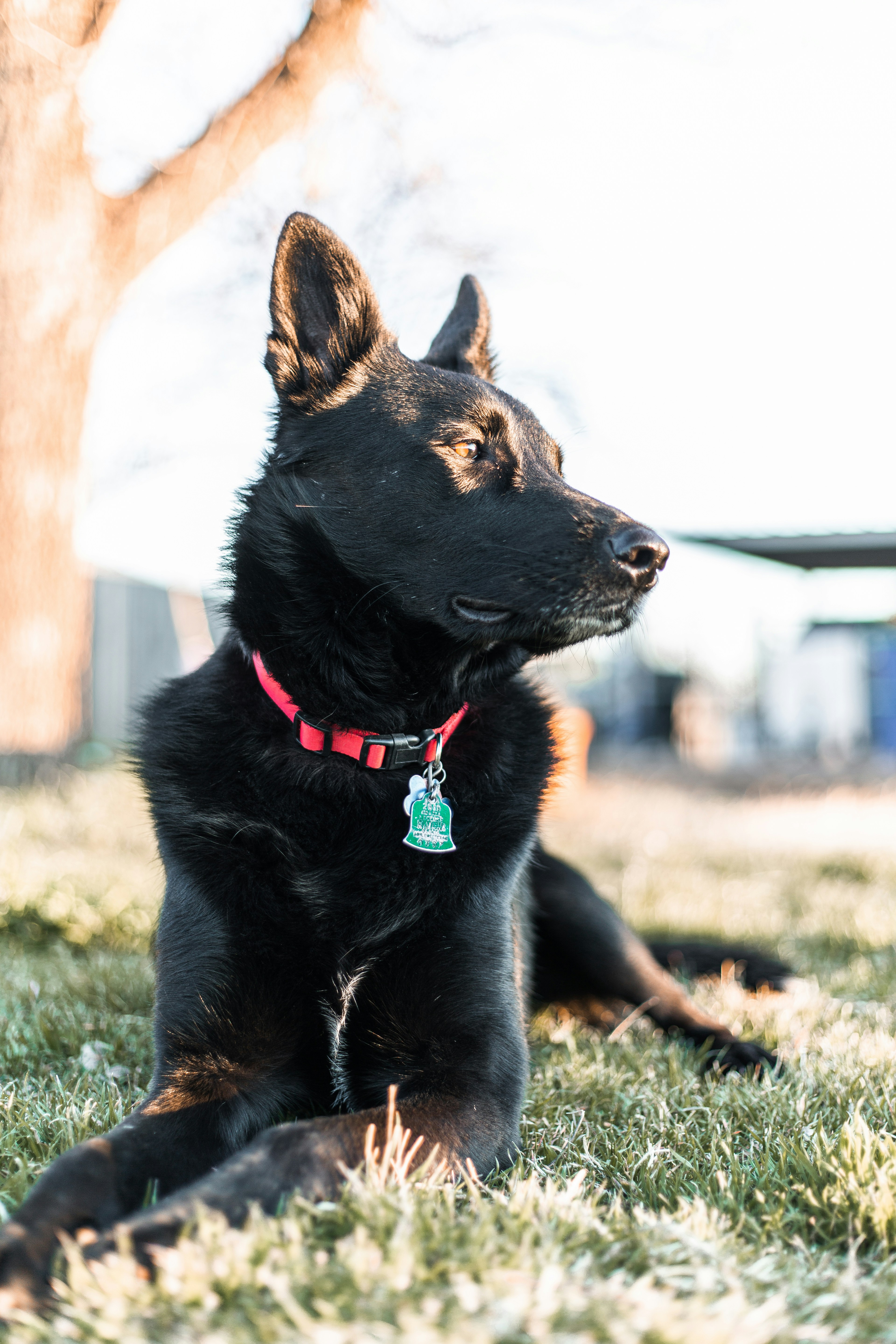 Photo by matthewjungling