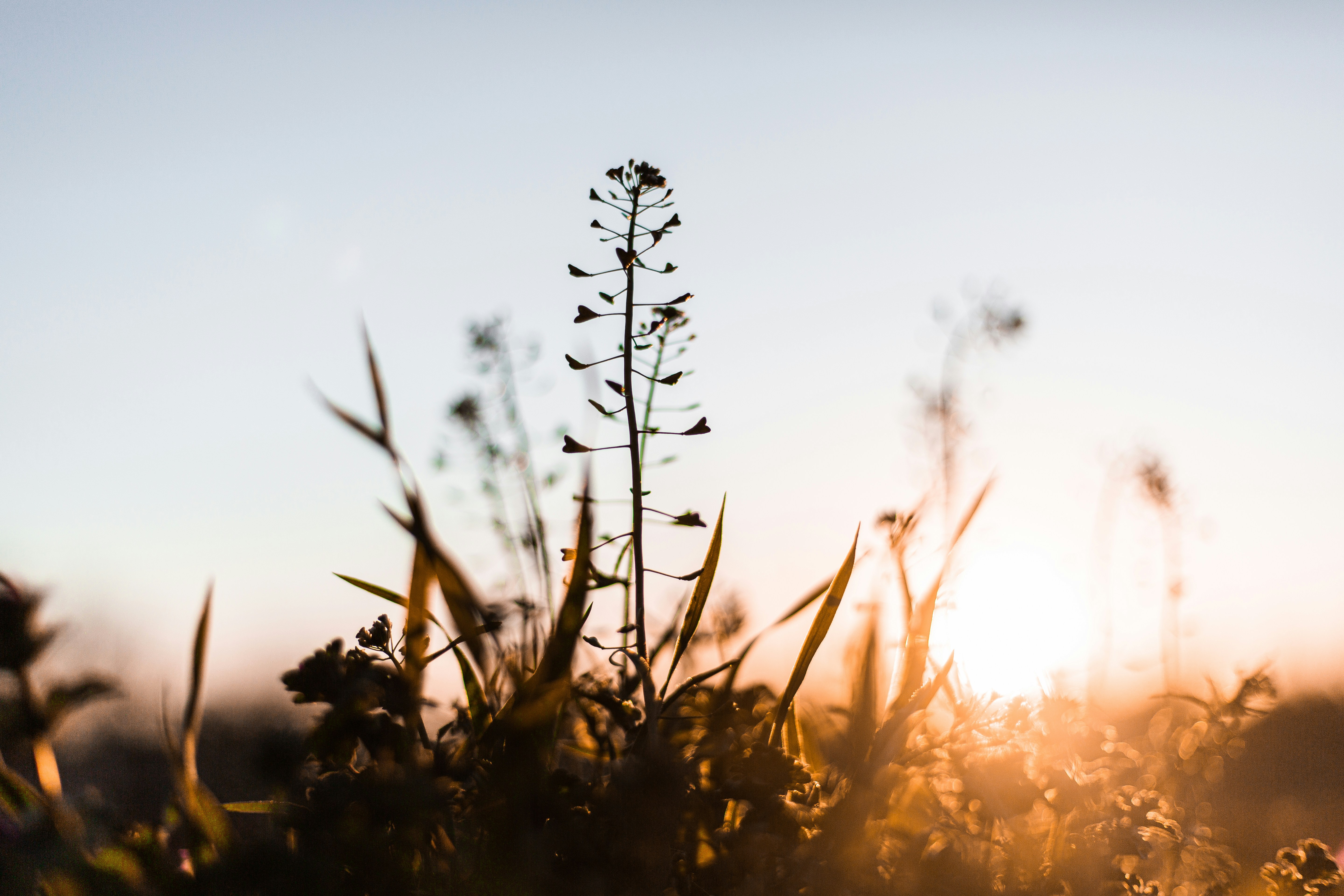 Photo by matthewjungling