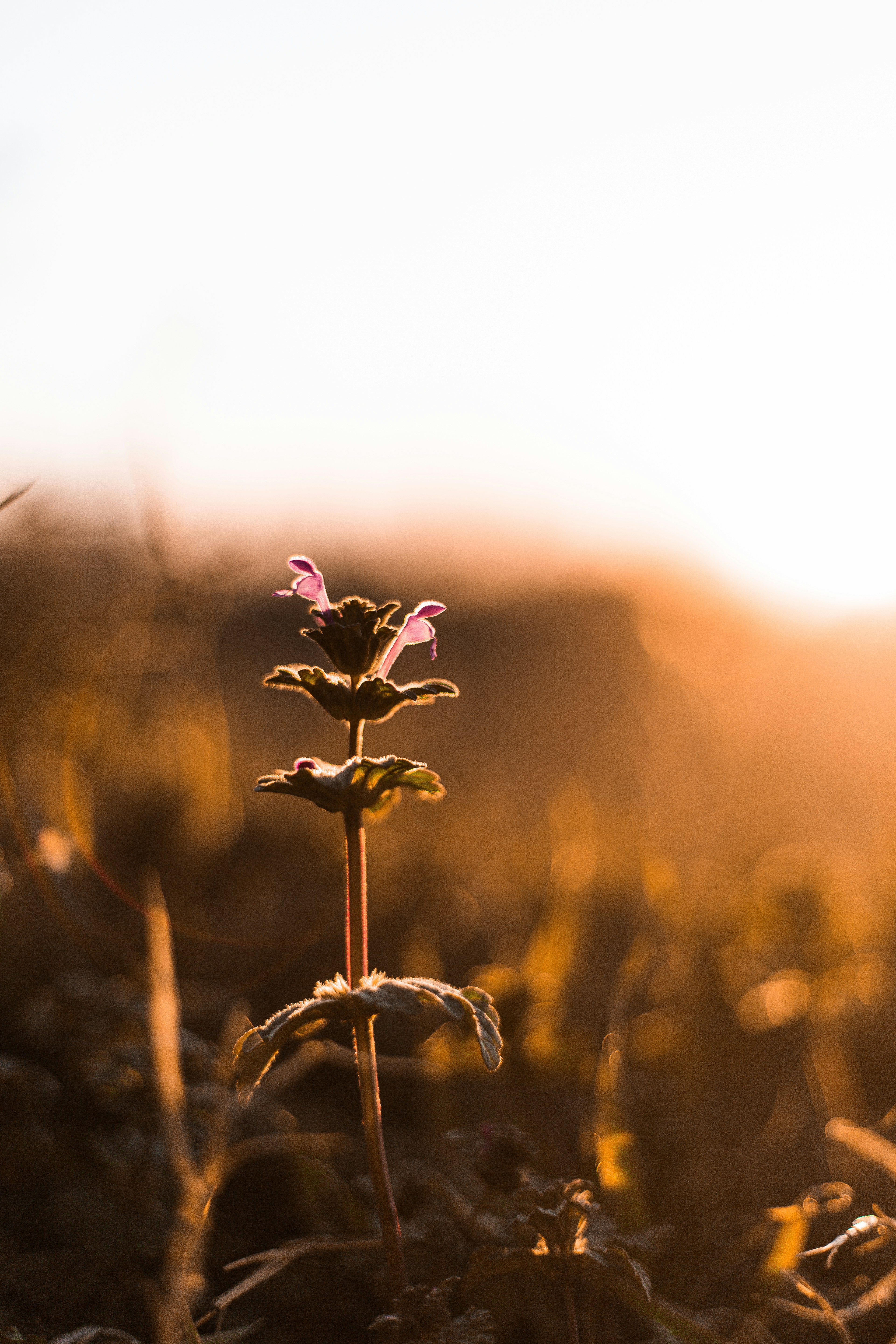 Photo by matthewjungling