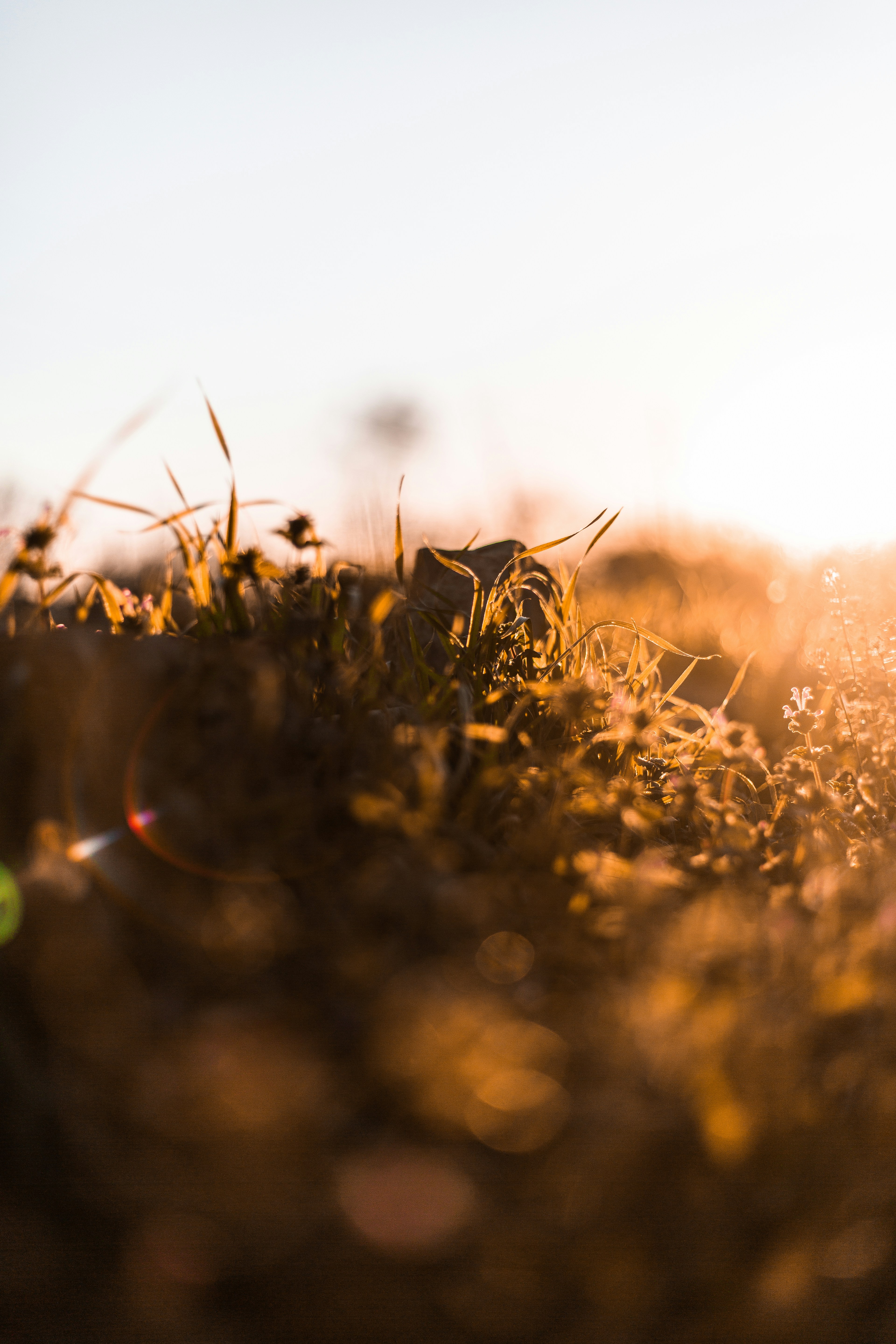 Photo by matthewjungling