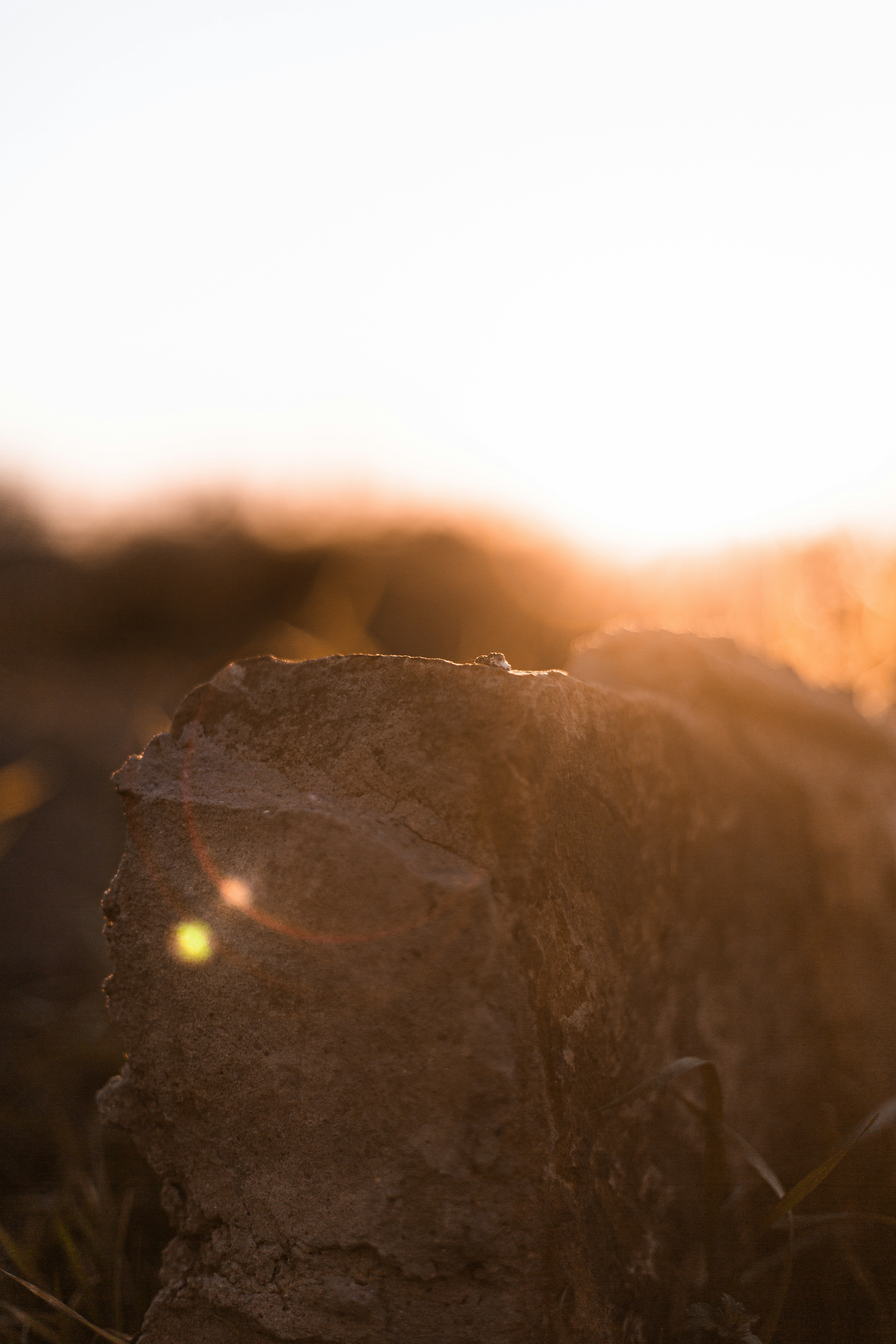 Photo by matthewjungling