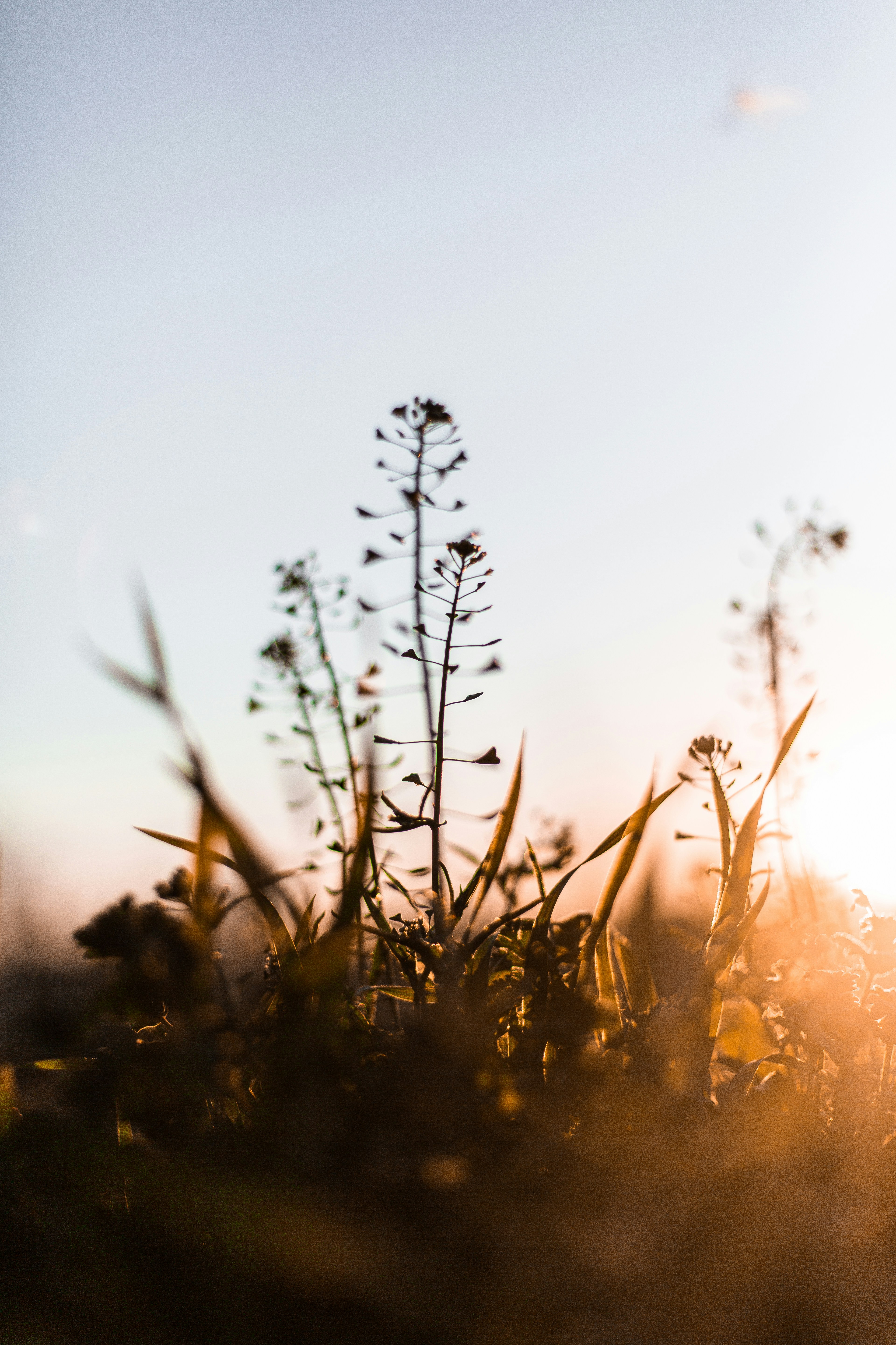 Photo by matthewjungling