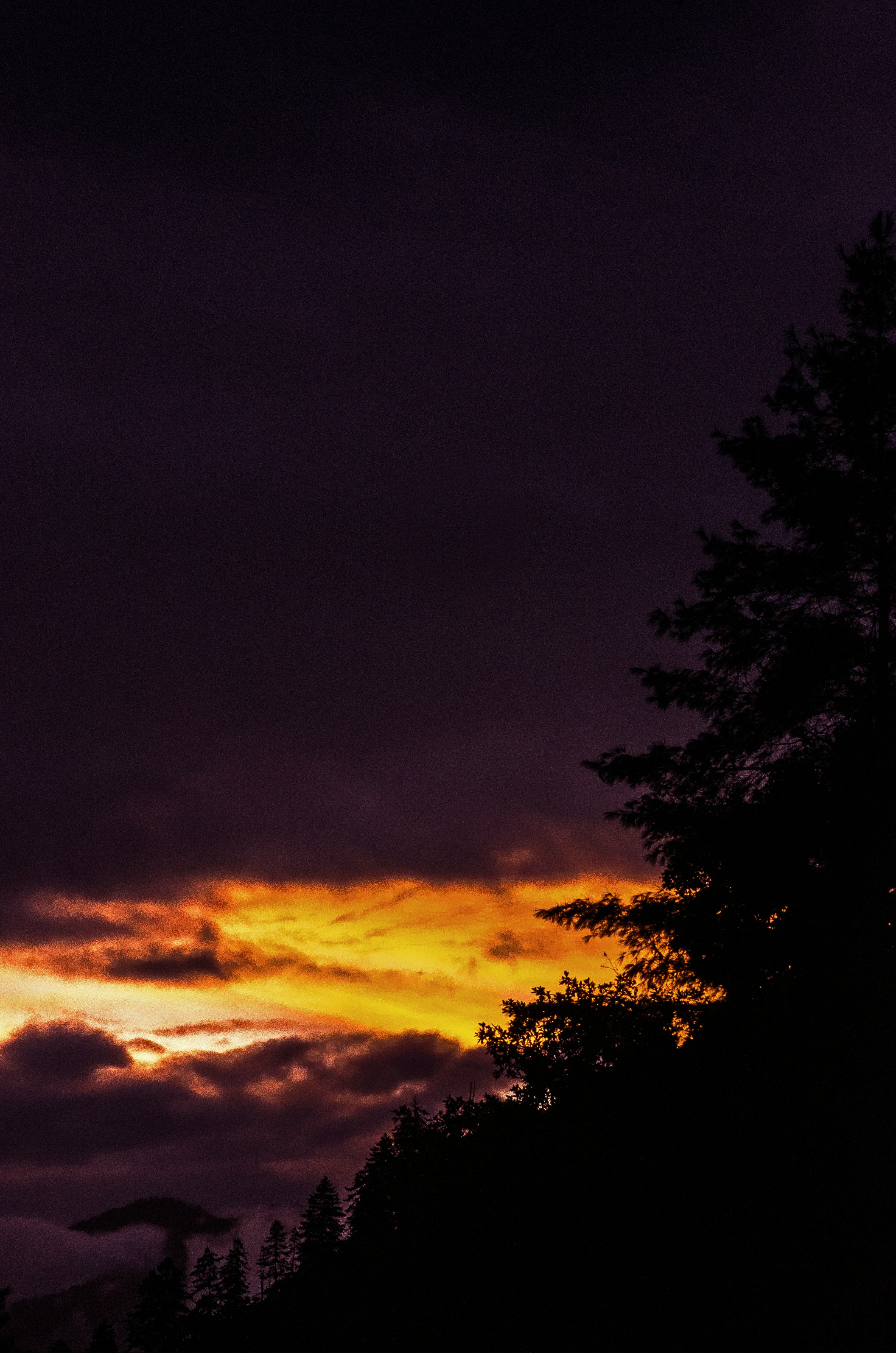 Photo by shirishsuwal