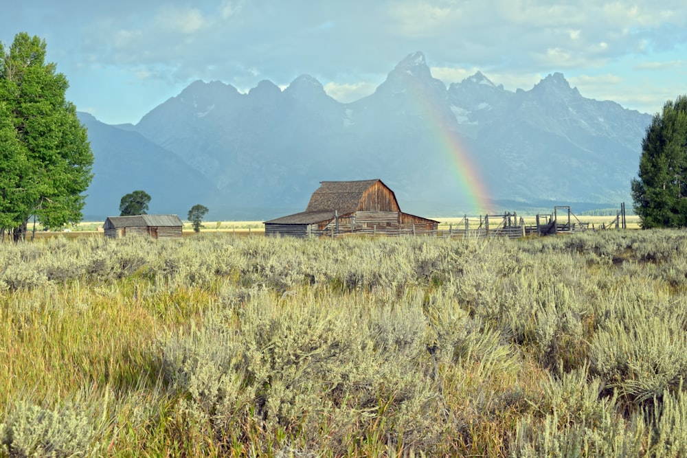 brown wooden house on green grass field during daytime