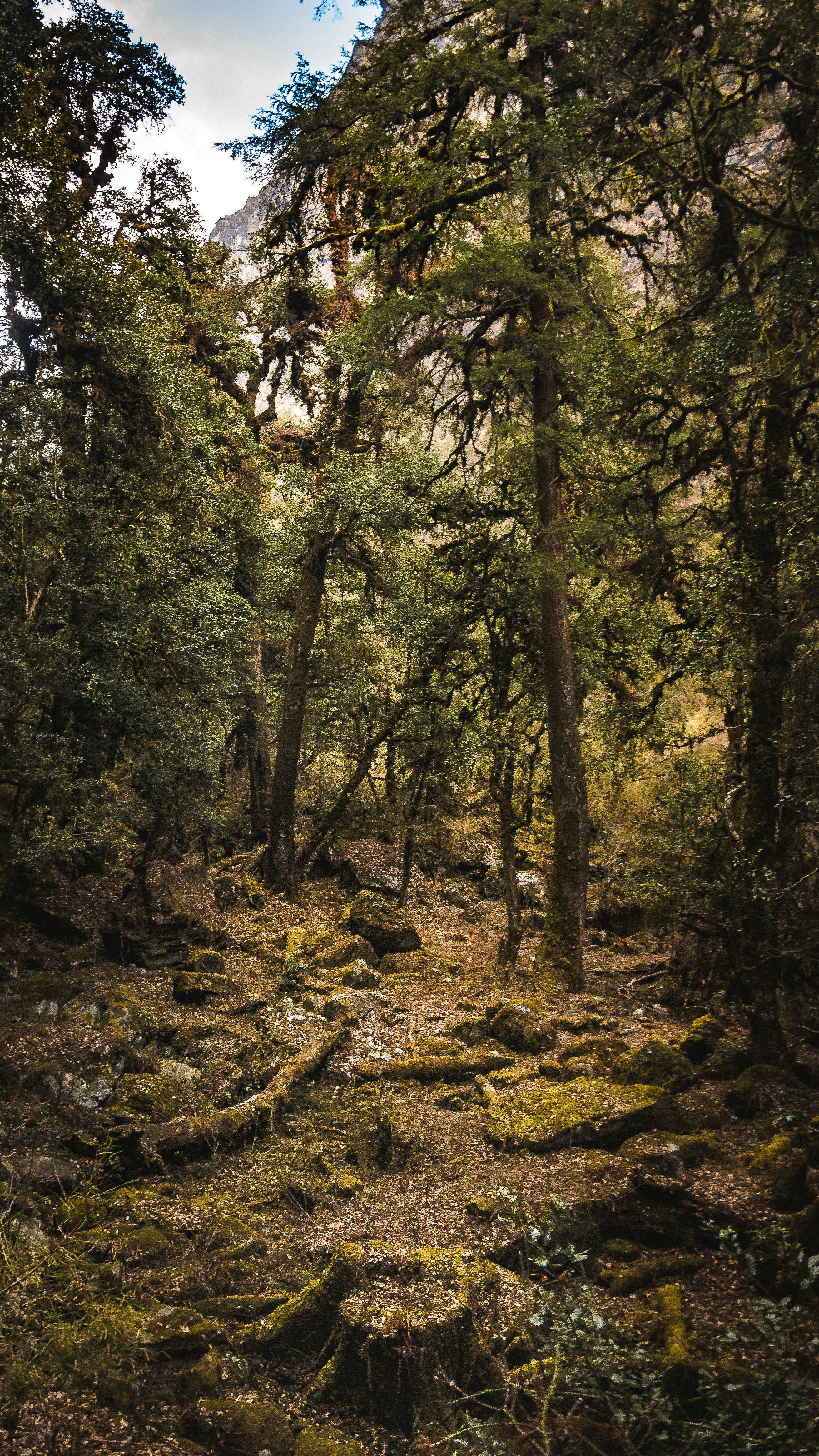 Photo by shirishsuwal