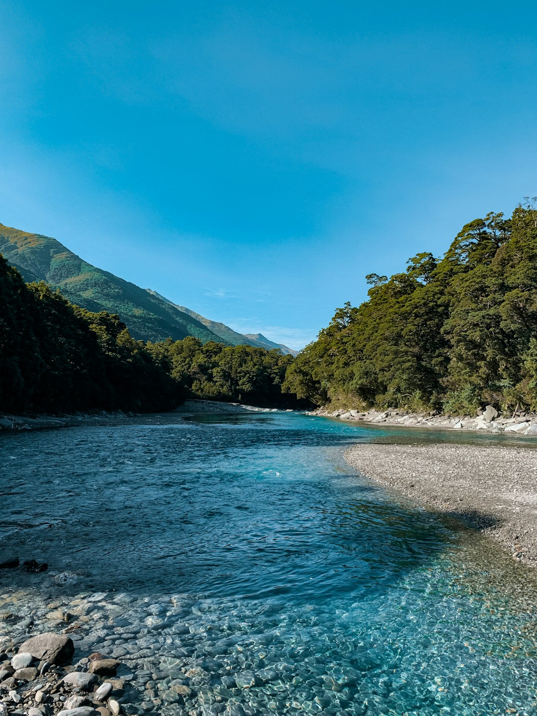 River photo spot Mount Aspiring Milford Track