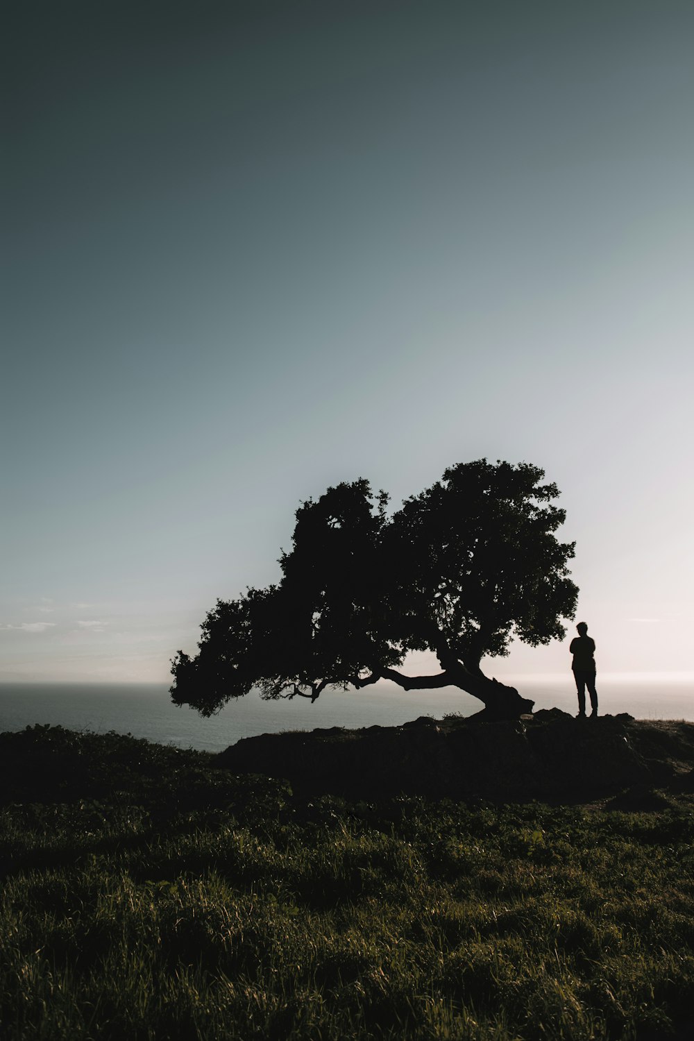 silhouette of 2 person standing on rock formation near tree during daytime