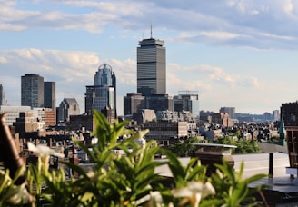 Boston skyline view observation tower