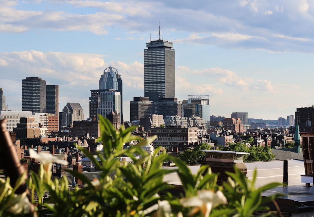 city skyline under blue sky during daytime