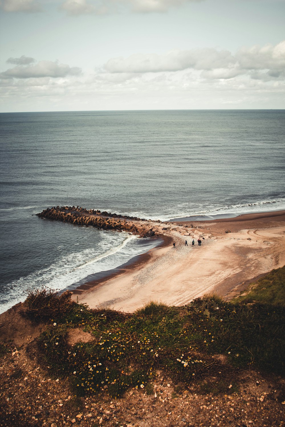 aerial view of beach during daytime