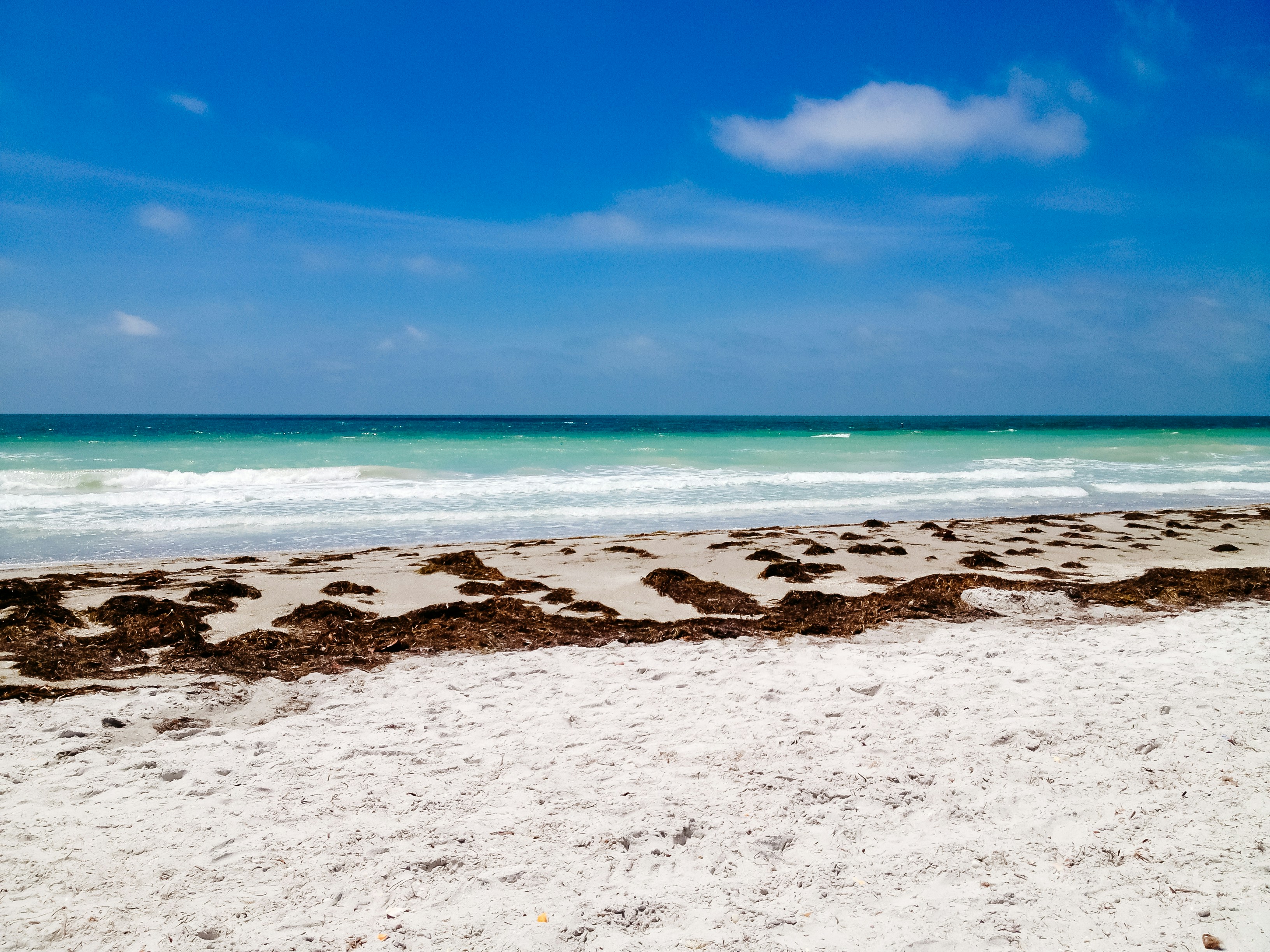 Photo by photosbychalo