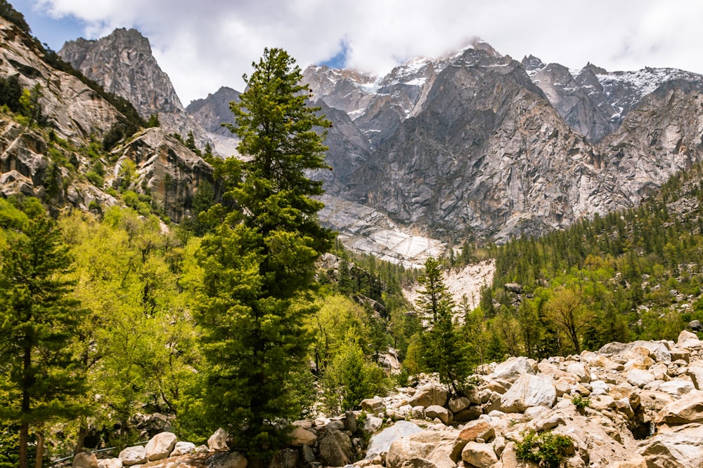 green trees near rocky mountain during daytime