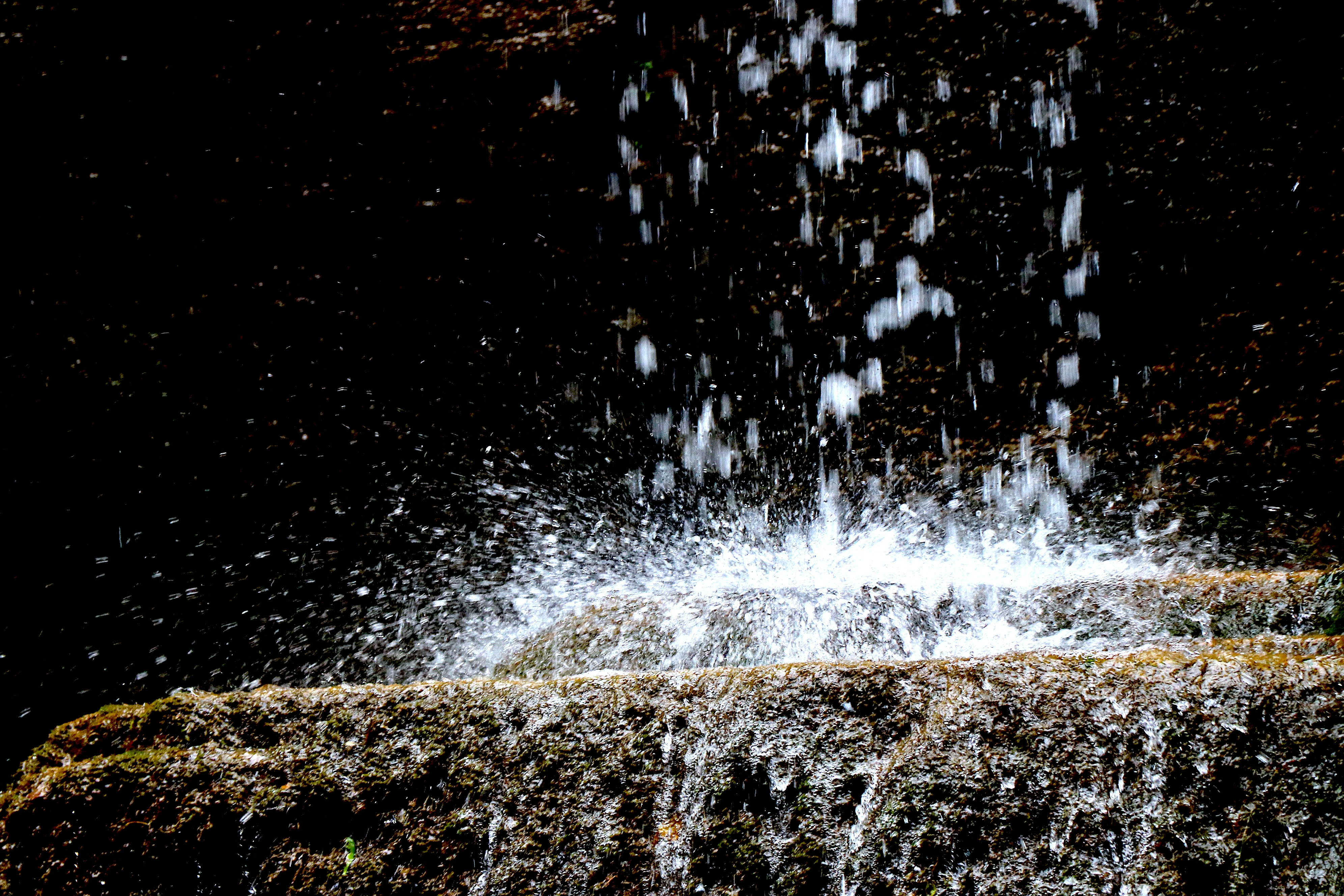 Photo by minstrellee