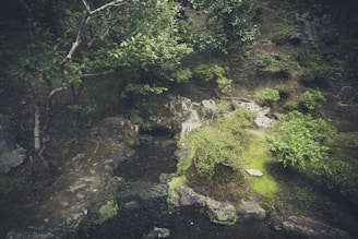 A serene rural garden with ornamental rocks and lush greenery under soft sunlight.