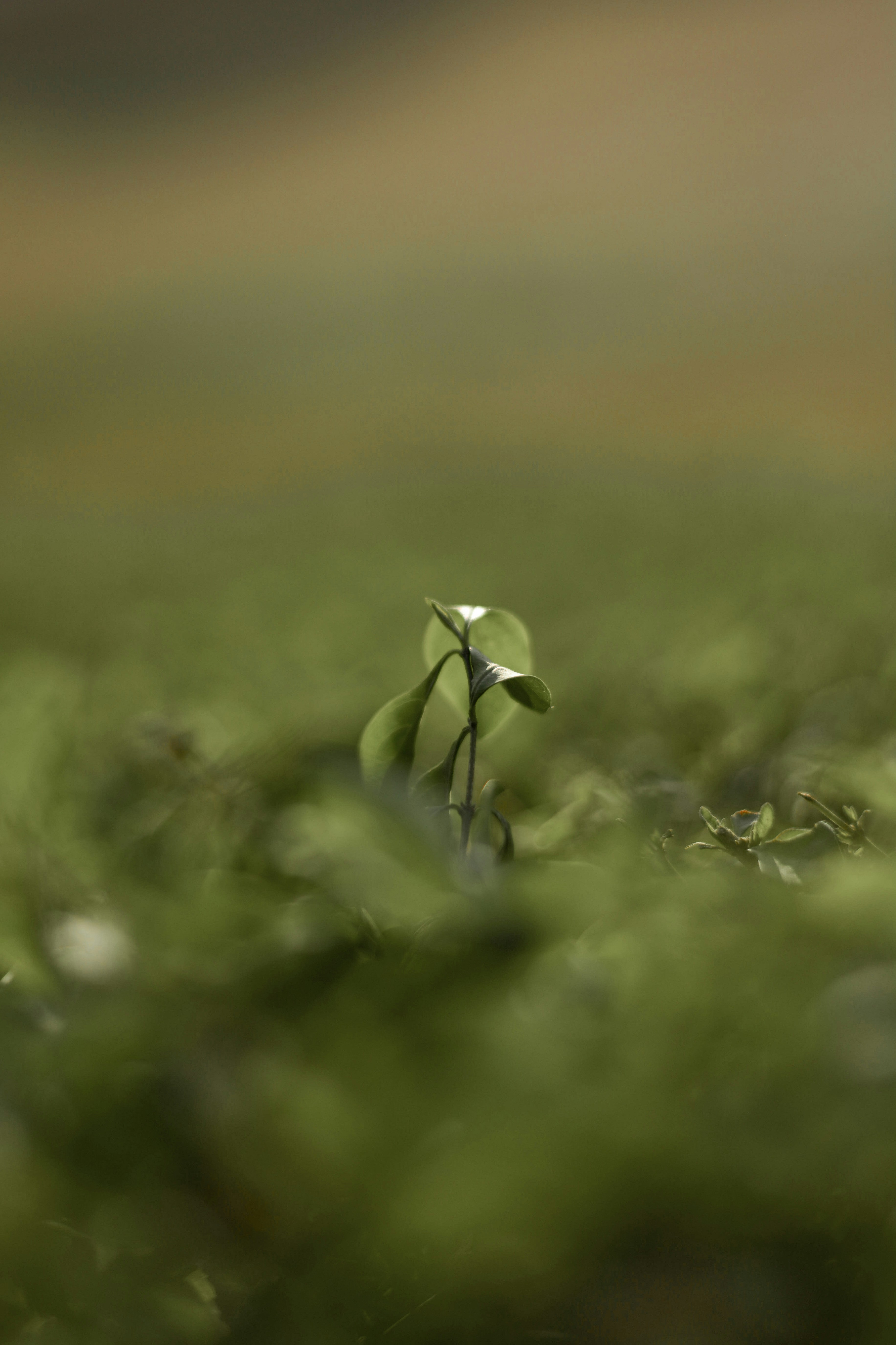 Photo by mohnishlandge