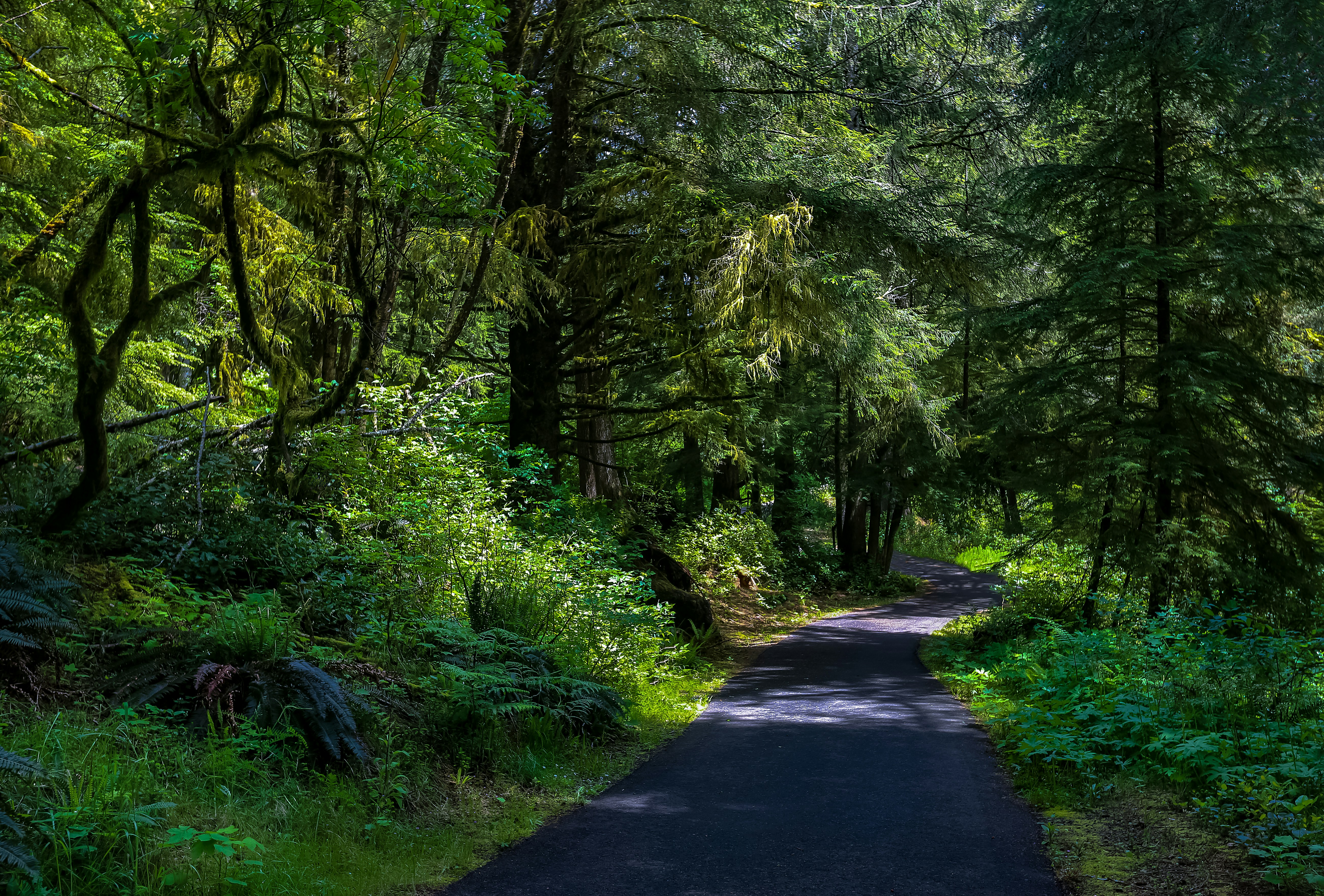 Photo by robertgrove_photography