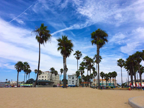 A sunny coastal lot with palm trees and clear blue skies in Gasparilla, Florida.