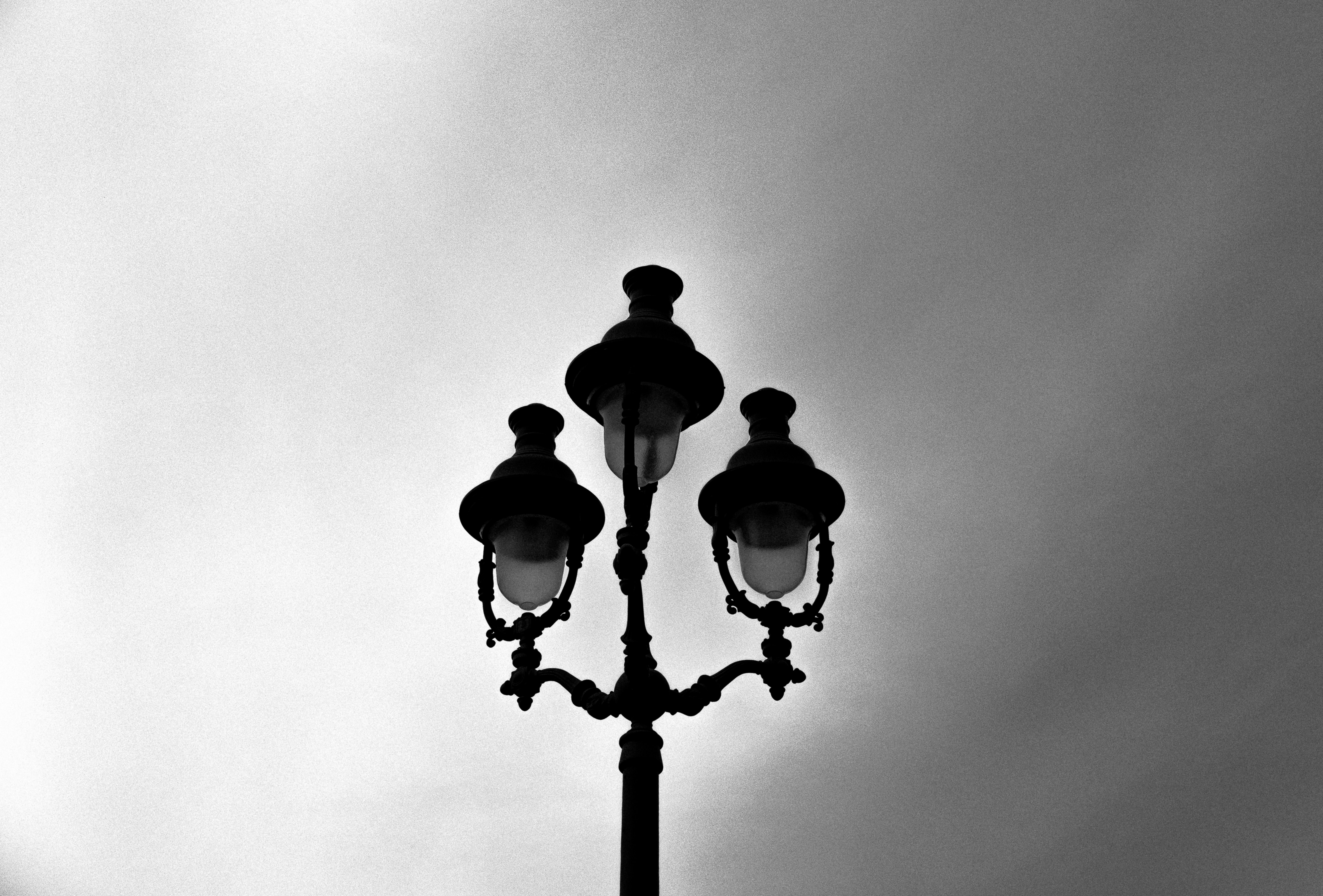 Photo by mimoto_photo