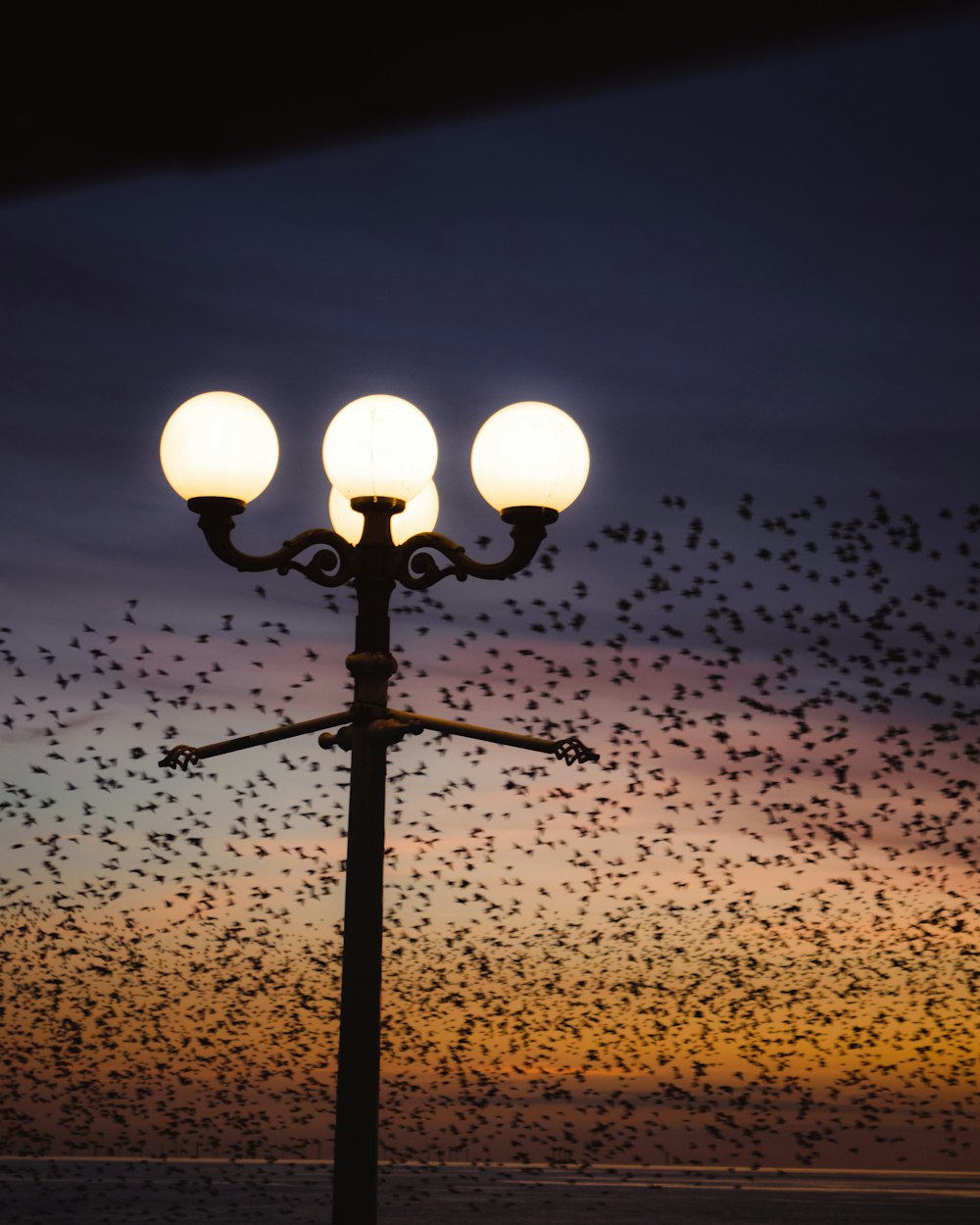 black and white street light during sunset