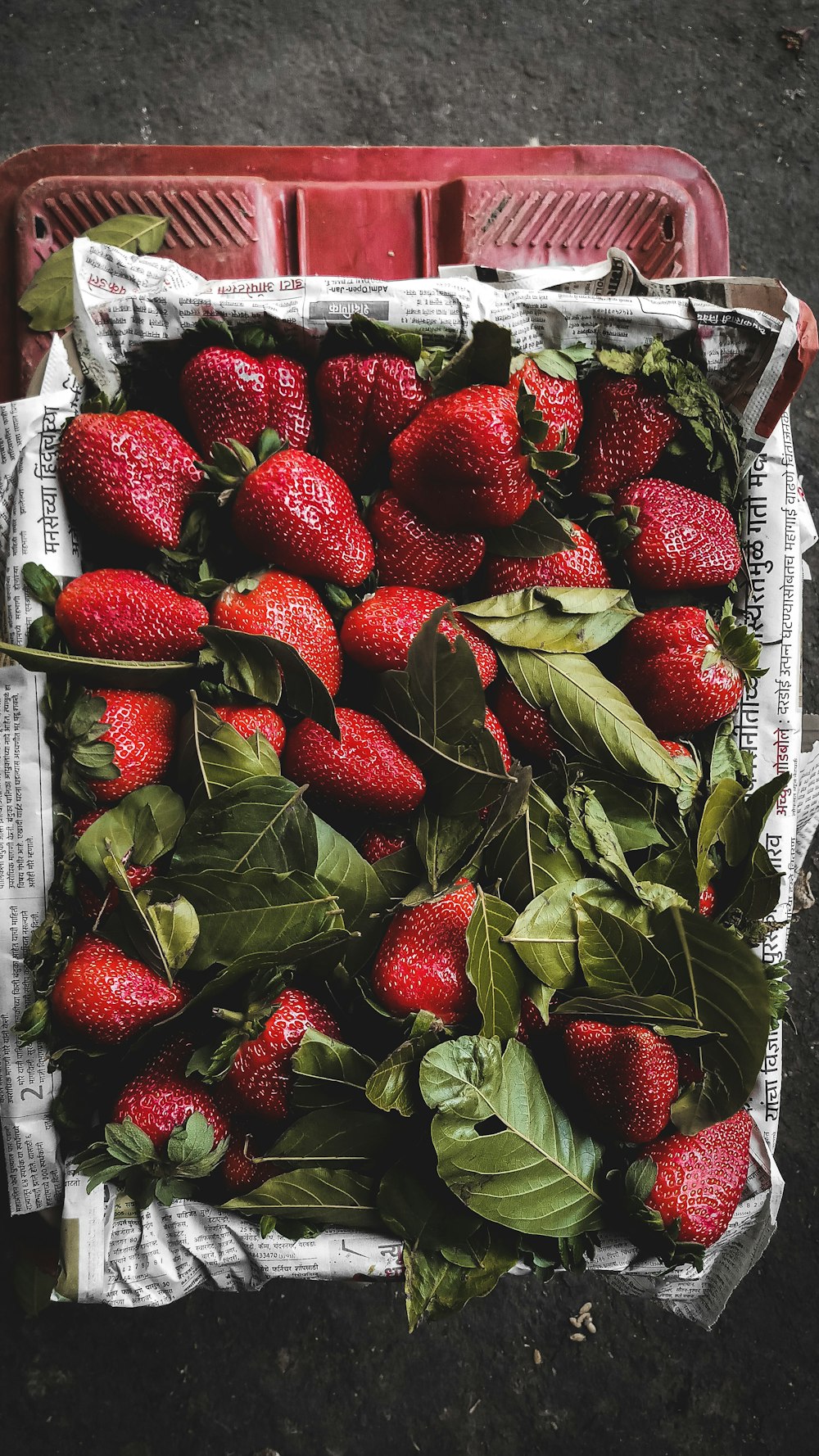 red strawberries on white plastic pack