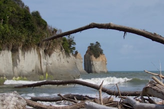 A scenic coastal view with waves crashing against rocky cliffs.