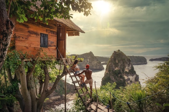 man in red t-shirt sitting on brown wooden ladder near green trees during daytime in Nusa Penida Indonesia