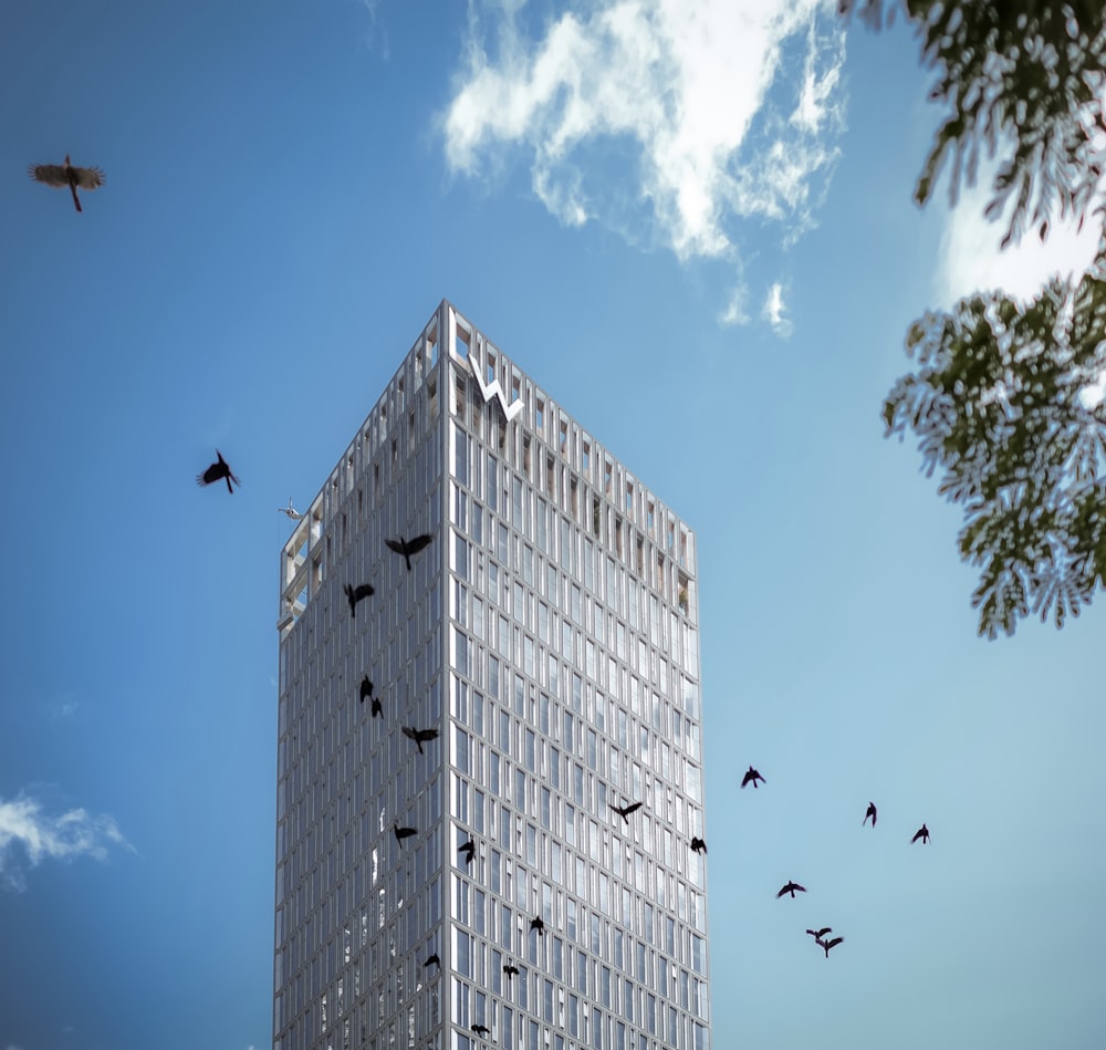 a group of birds flying around a tall building