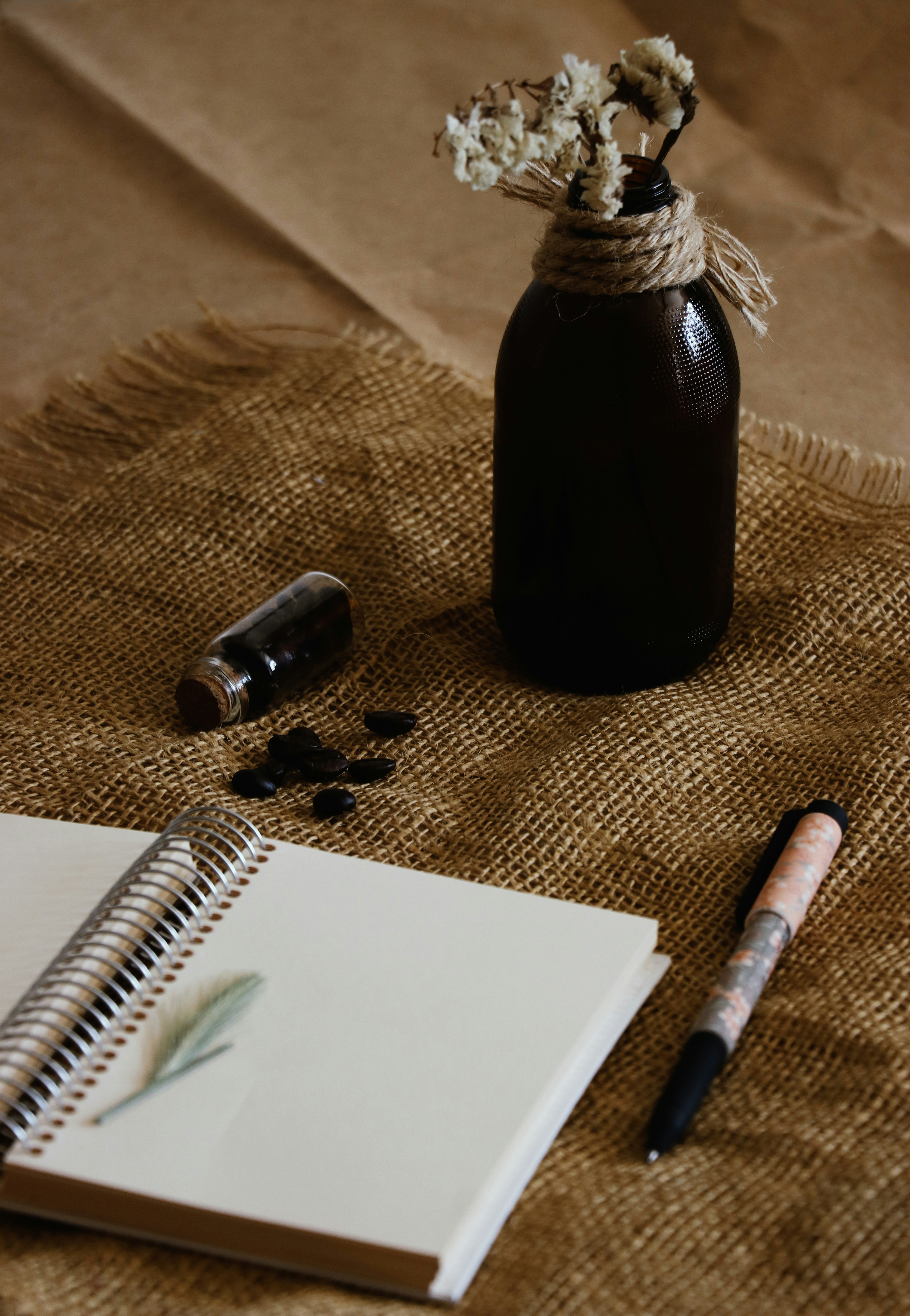 Photo by soniajahandari