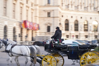 A horse-drawn carriage with vibrant yellow wheels is moving along a street in front of an ornate, historic building. The carriage is pulled by two white horses, and a person dressed in dark clothing and a hat is seated at the front, holding reins. The backdrop features several blurred national flags, hinting at a bustling city environment.