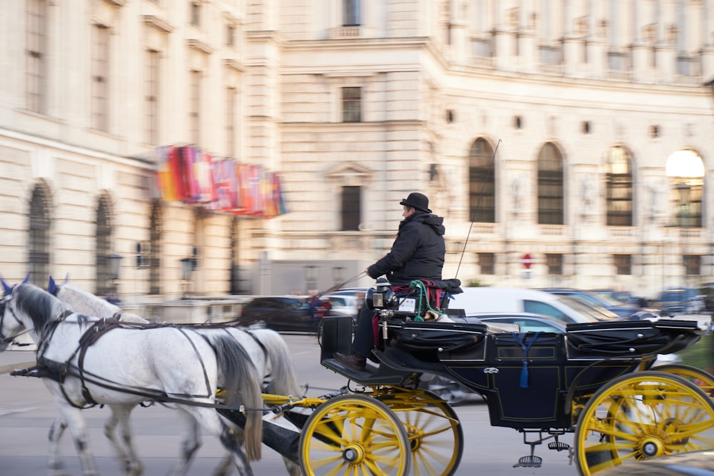 black horse with carriage on street during daytime