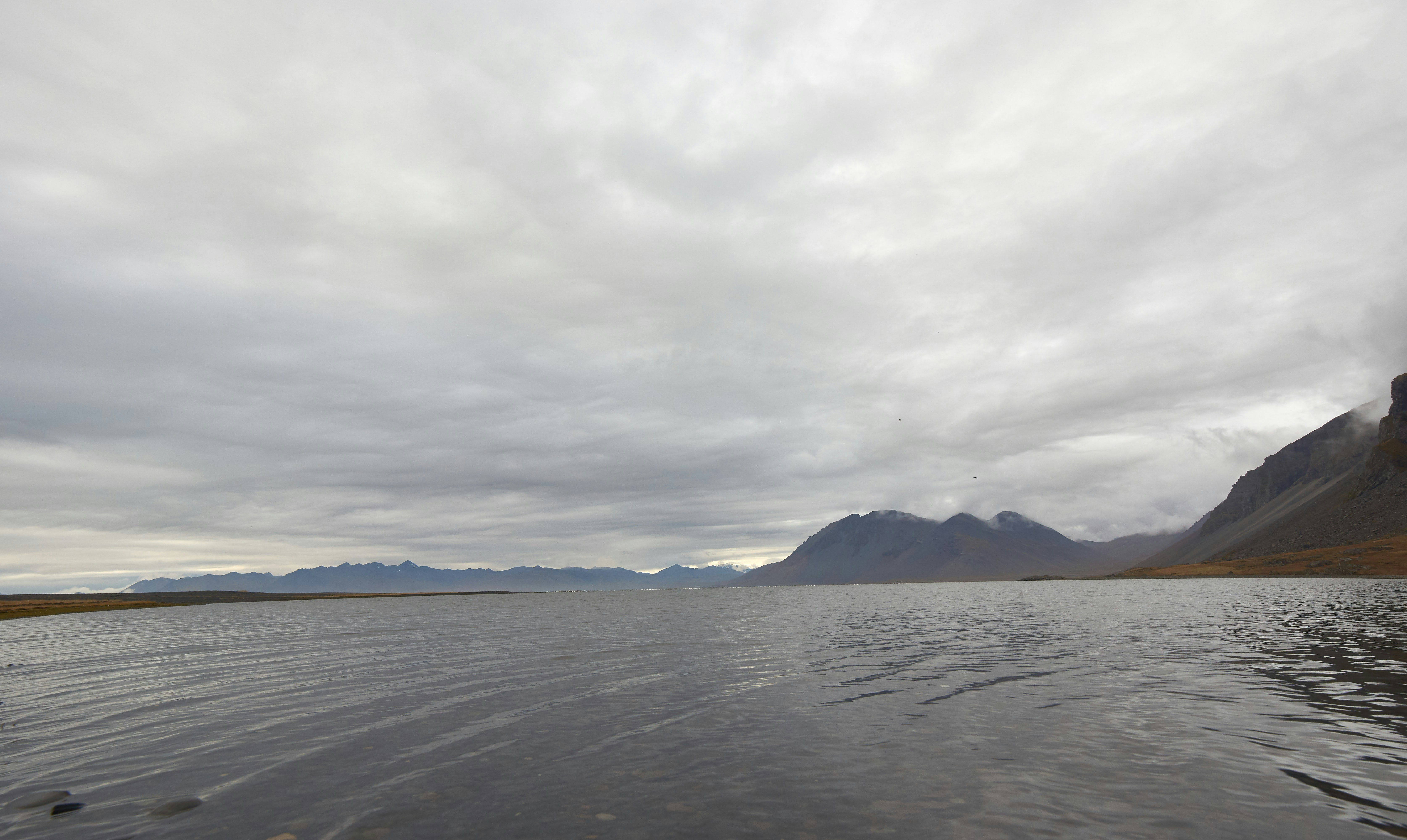 Photo by wolfgang_hasselmann