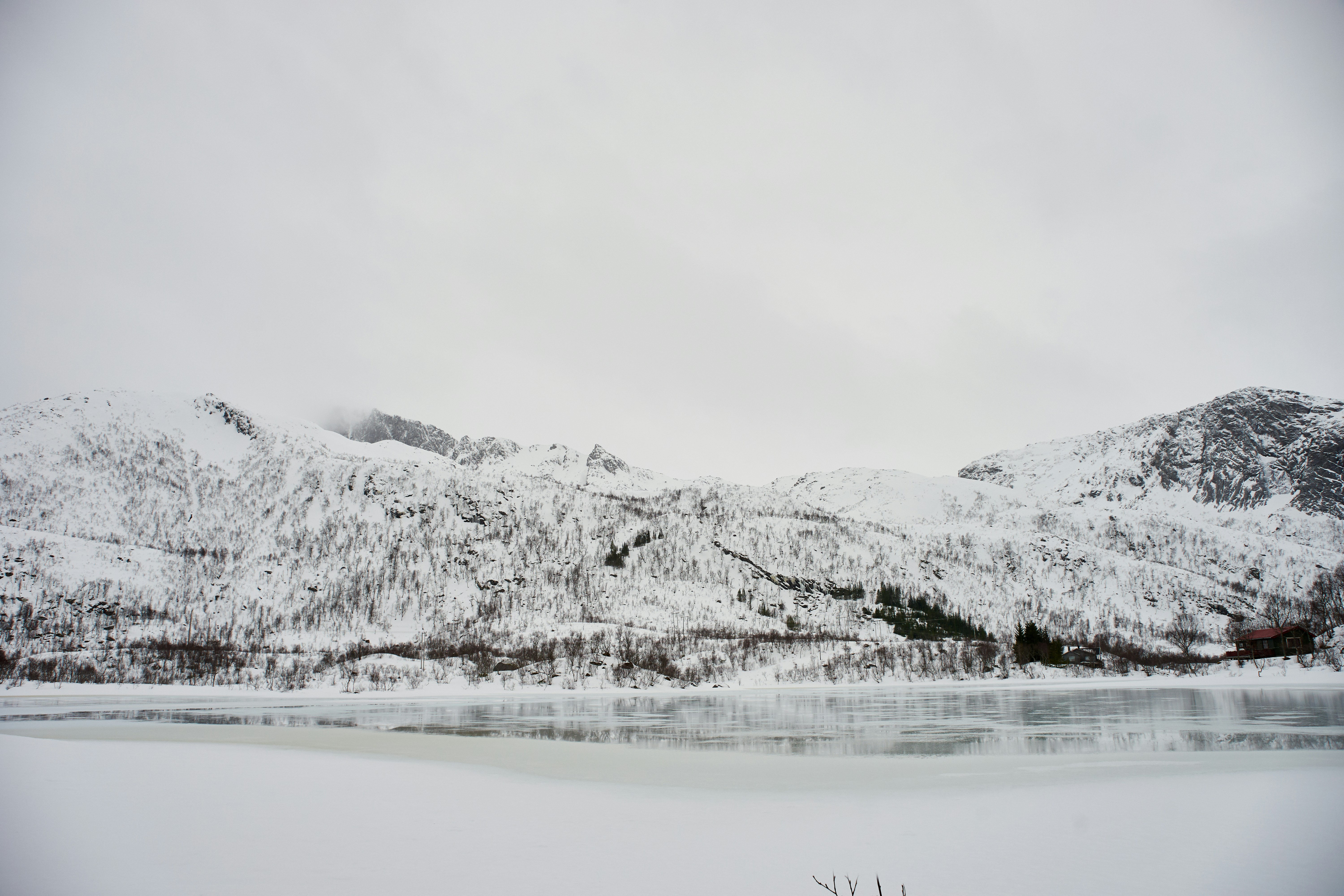 Photo by wolfgang_hasselmann