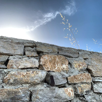 Close-up of skilled mason carefully laying natural stone wall under bright sunlight.