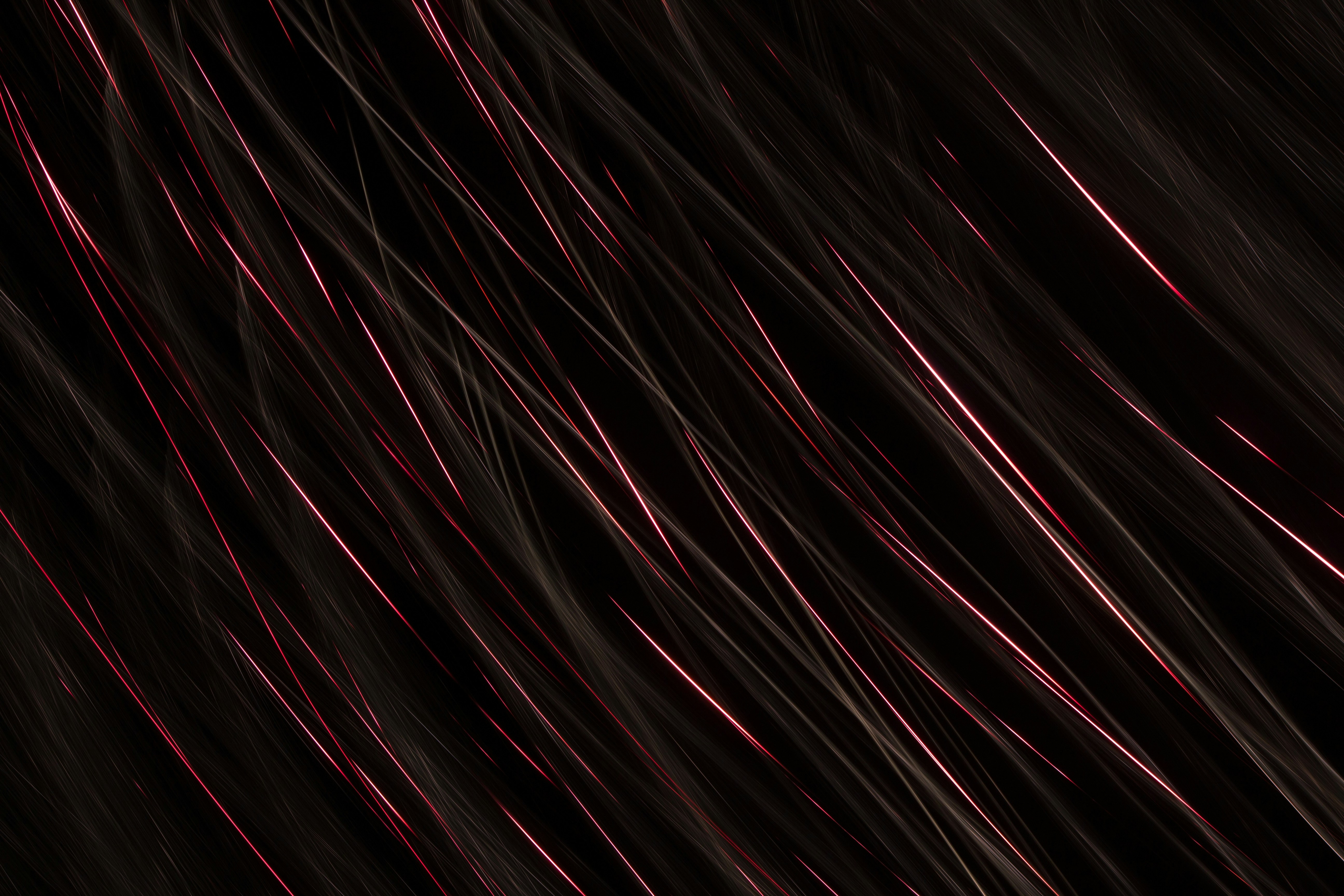 Photo by levi_midnight