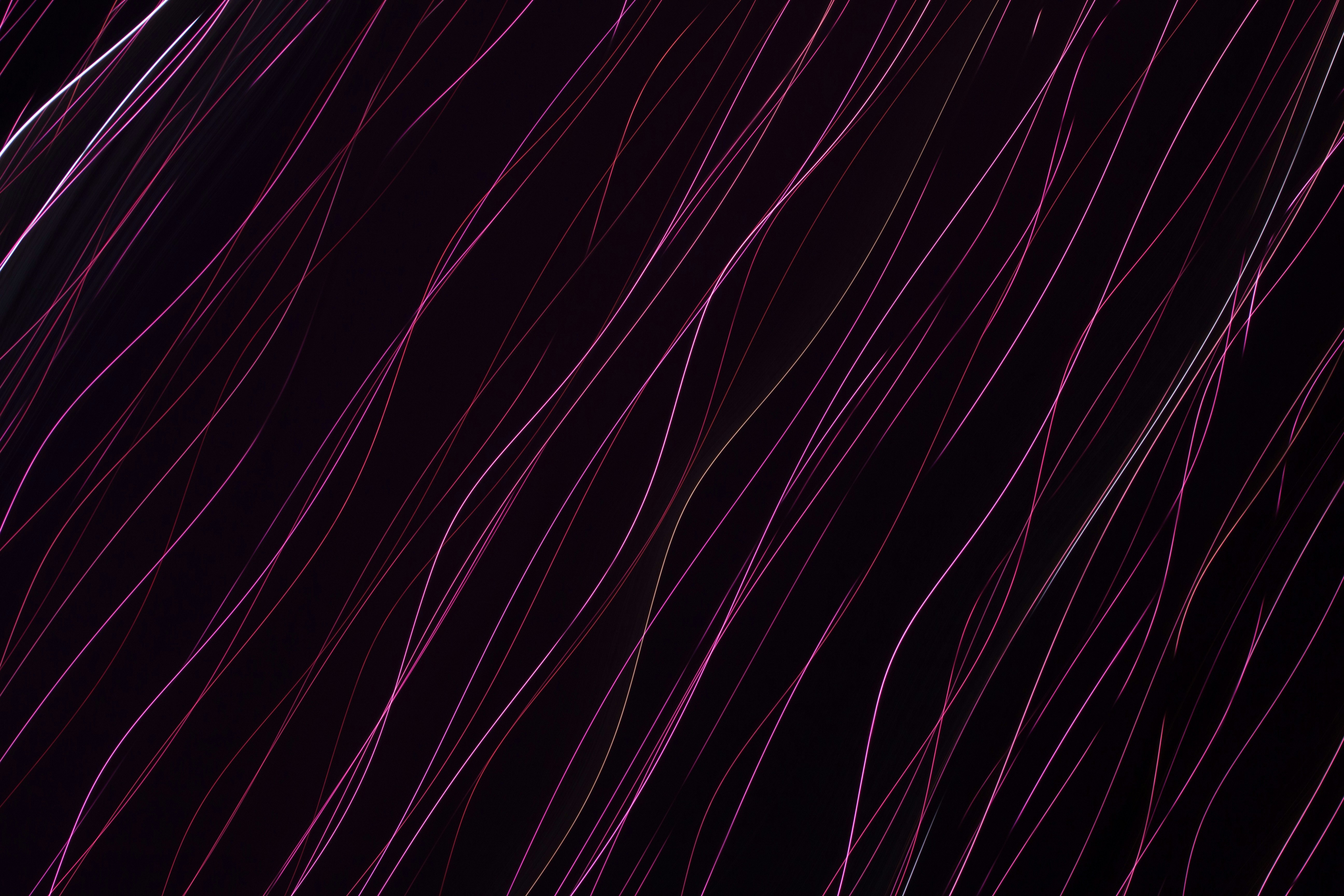 Photo by levi_midnight