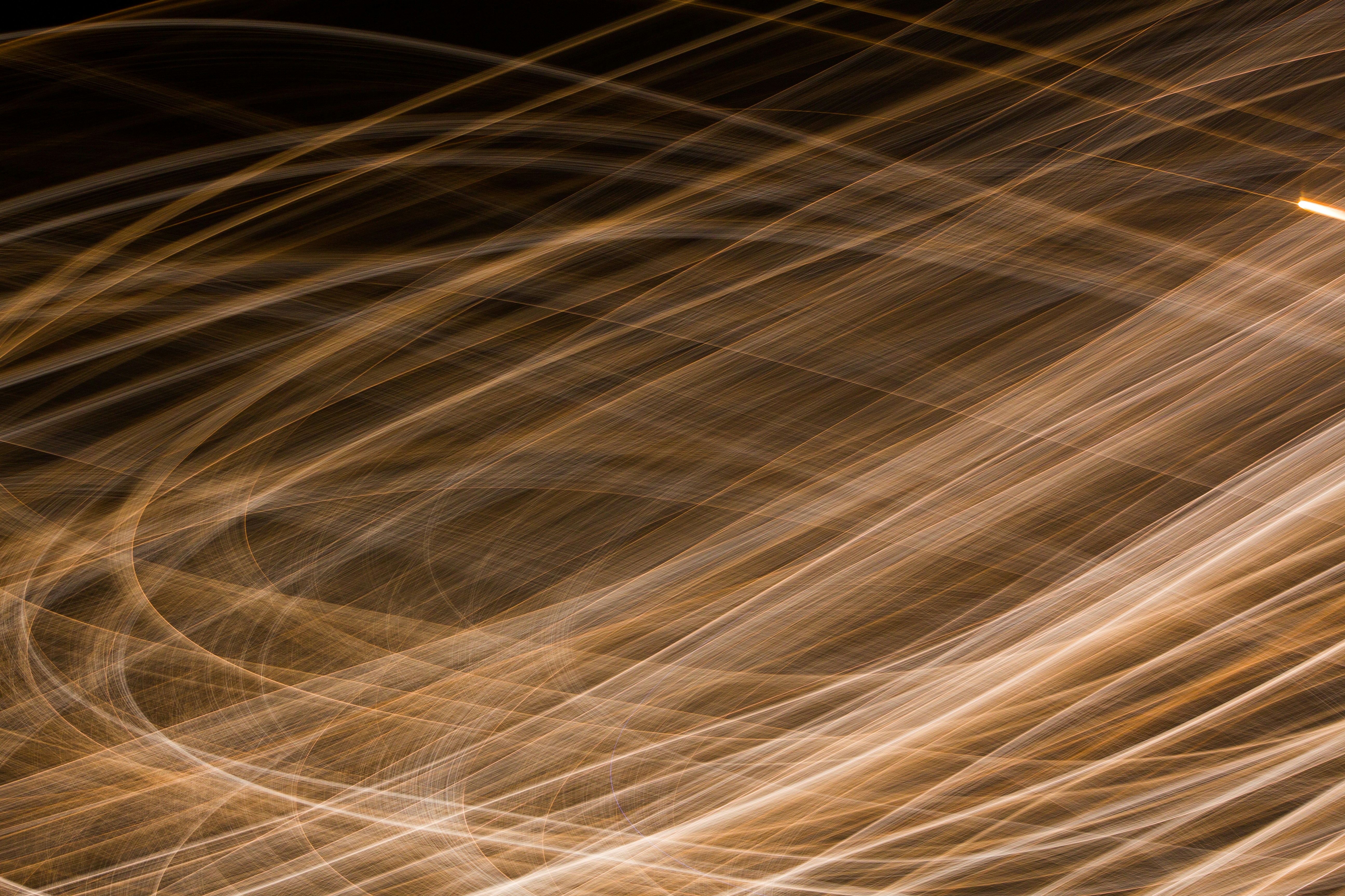 Photo by levi_midnight