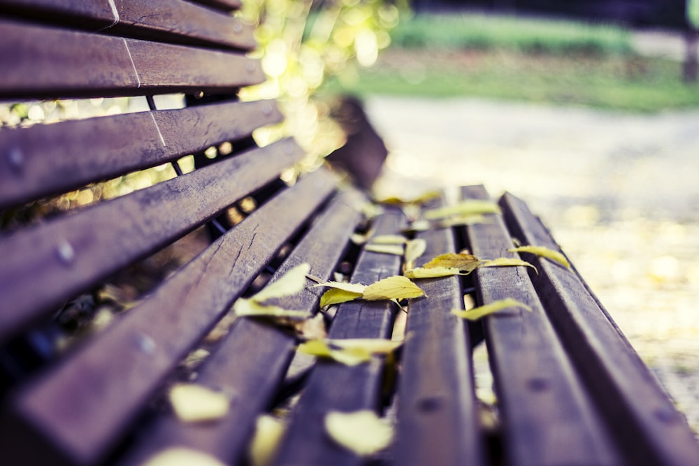 brown wooden bench with yellow and green leaves on top