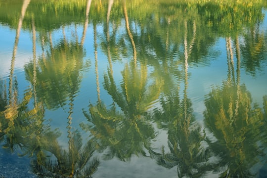 green grass on body of water during daytime in Addu City Maldives