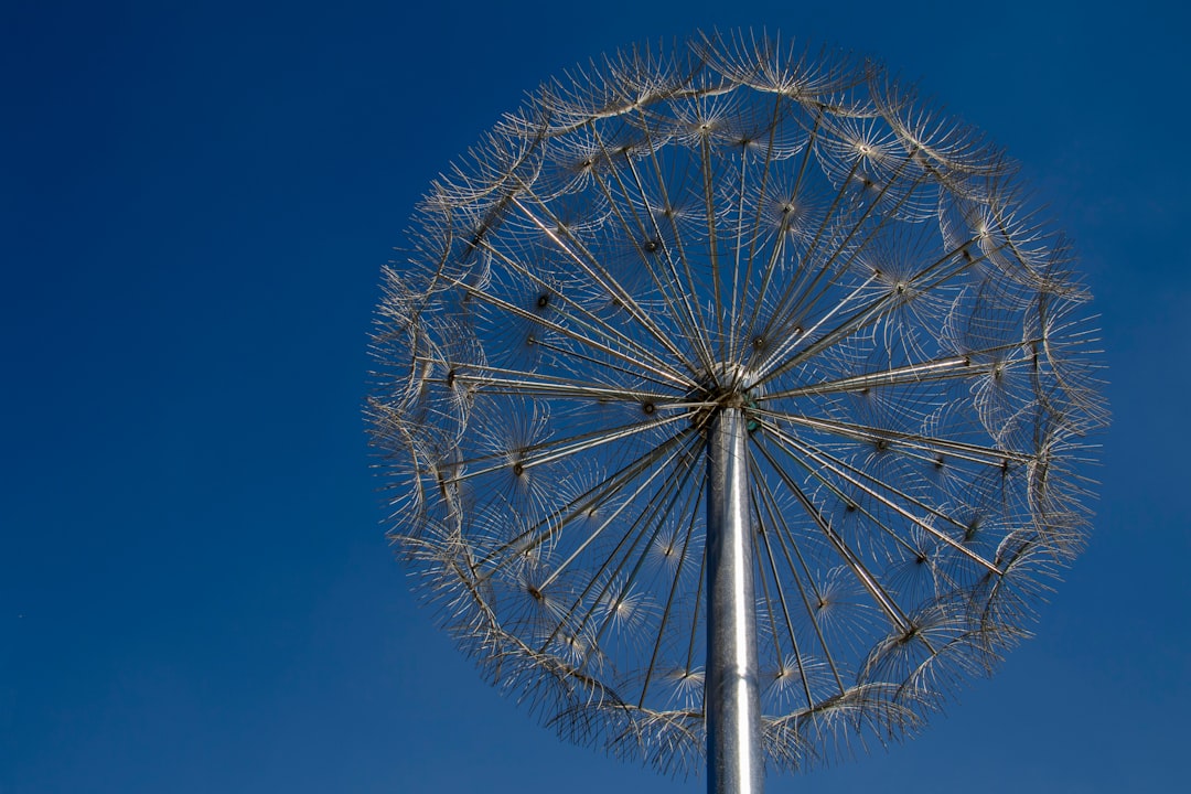 Ferris wheel photo spot Burj Khalifa Lake - Dubai - United Arab Emirates Jumeirah