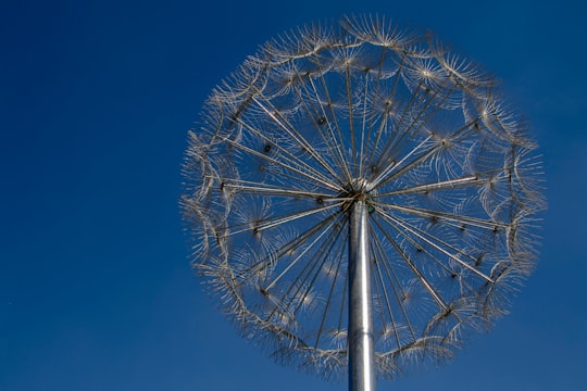 white ferris wheel under blue sky during daytime in Burj Khalifa Lake - Dubai - United Arab Emirates United Arab Emirates