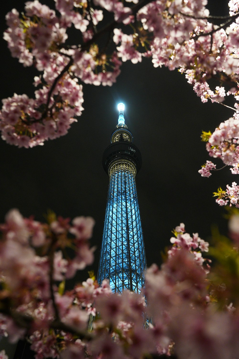 blue and green tower with pink and white flowers