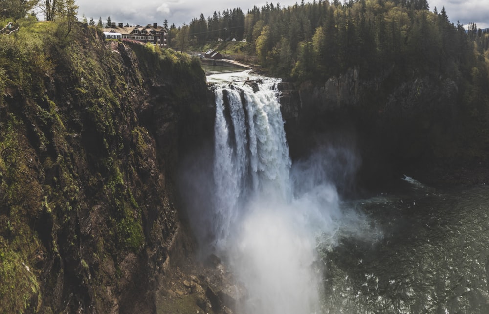 waterfalls near green trees during daytime