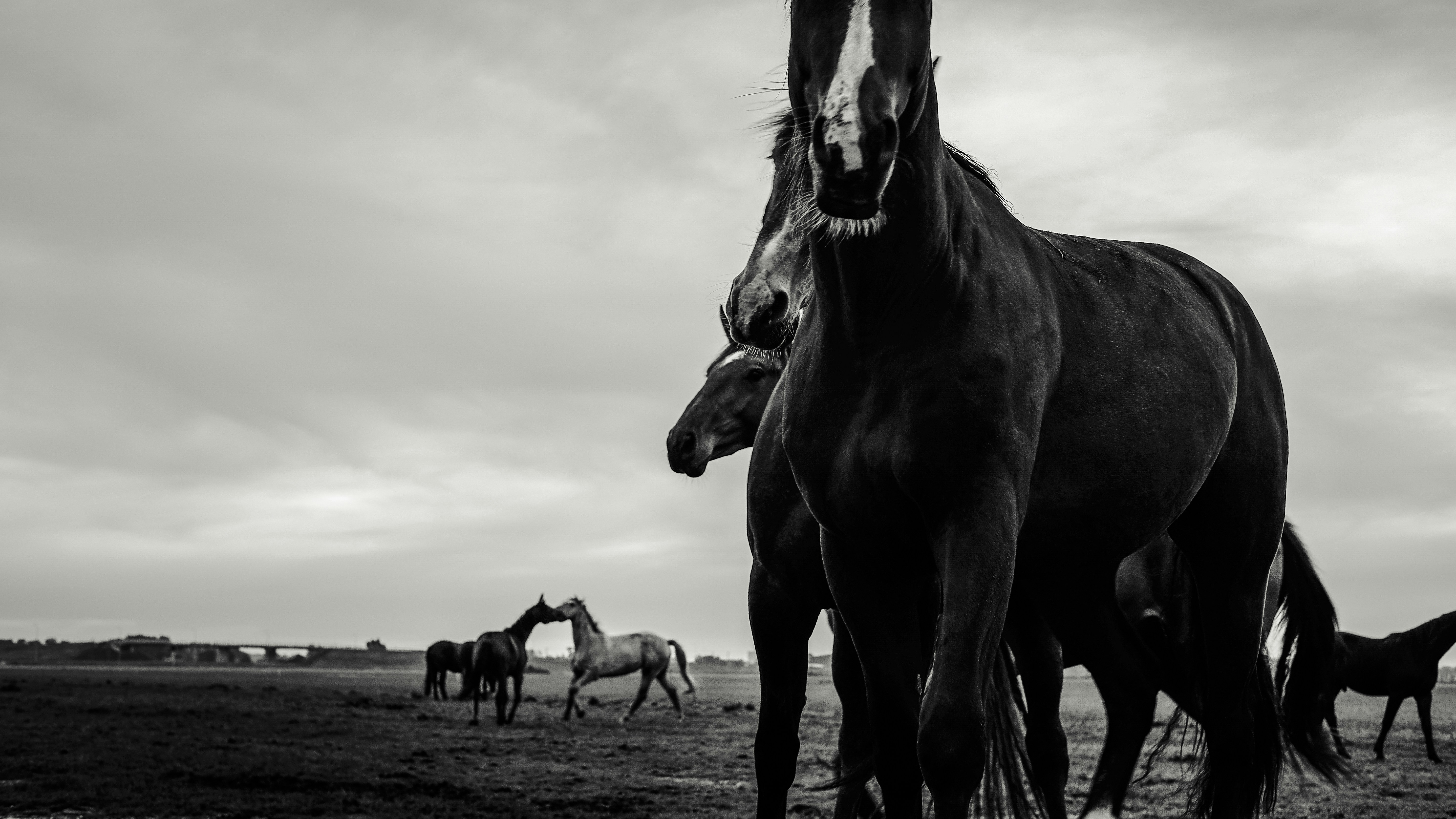 Photo by reintbergman