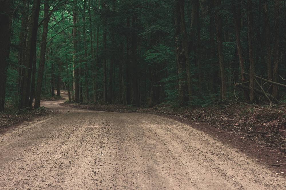 brown dirt road in between green trees during daytime