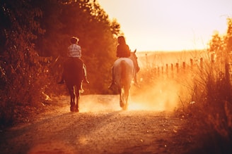 A rider gently guiding a horse along a sun-dappled forest trail surrounded by tall trees and calm lakes.