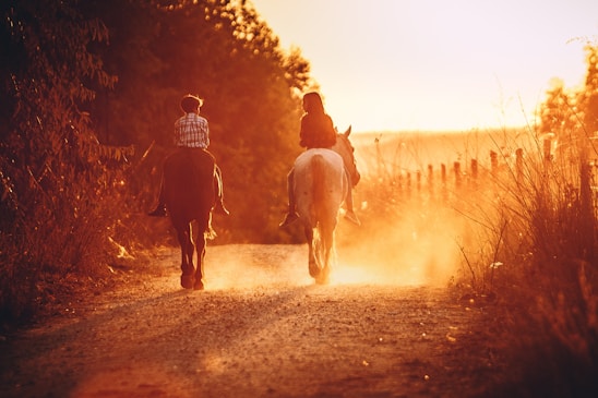 A rider gently guiding a horse along a sun-dappled forest trail surrounded by tall trees and calm lakes.