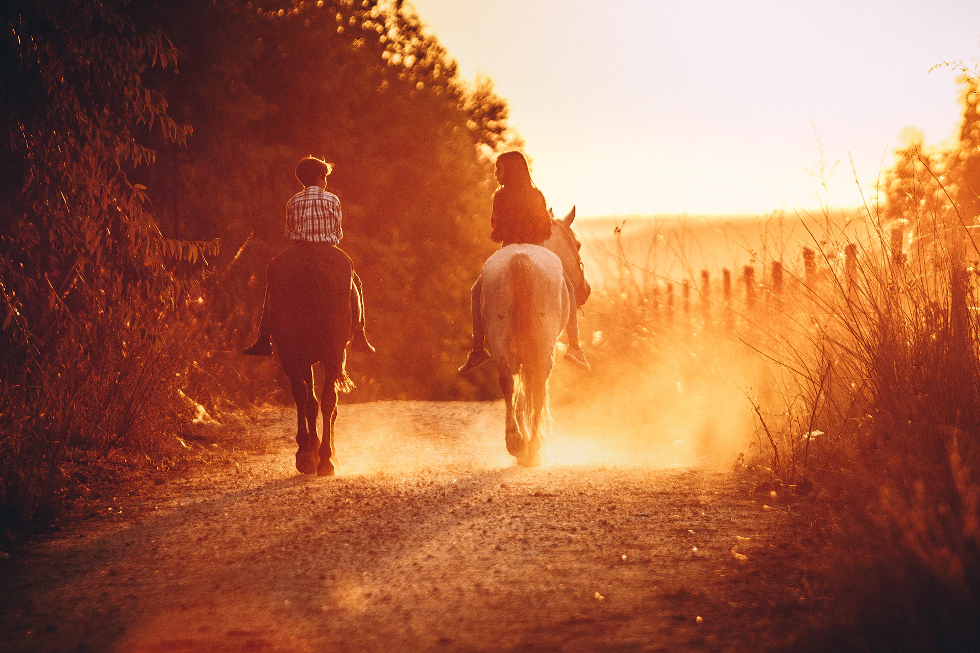 A cowboy riding a horse through a sunlit forest trail, dust rising gently behind.